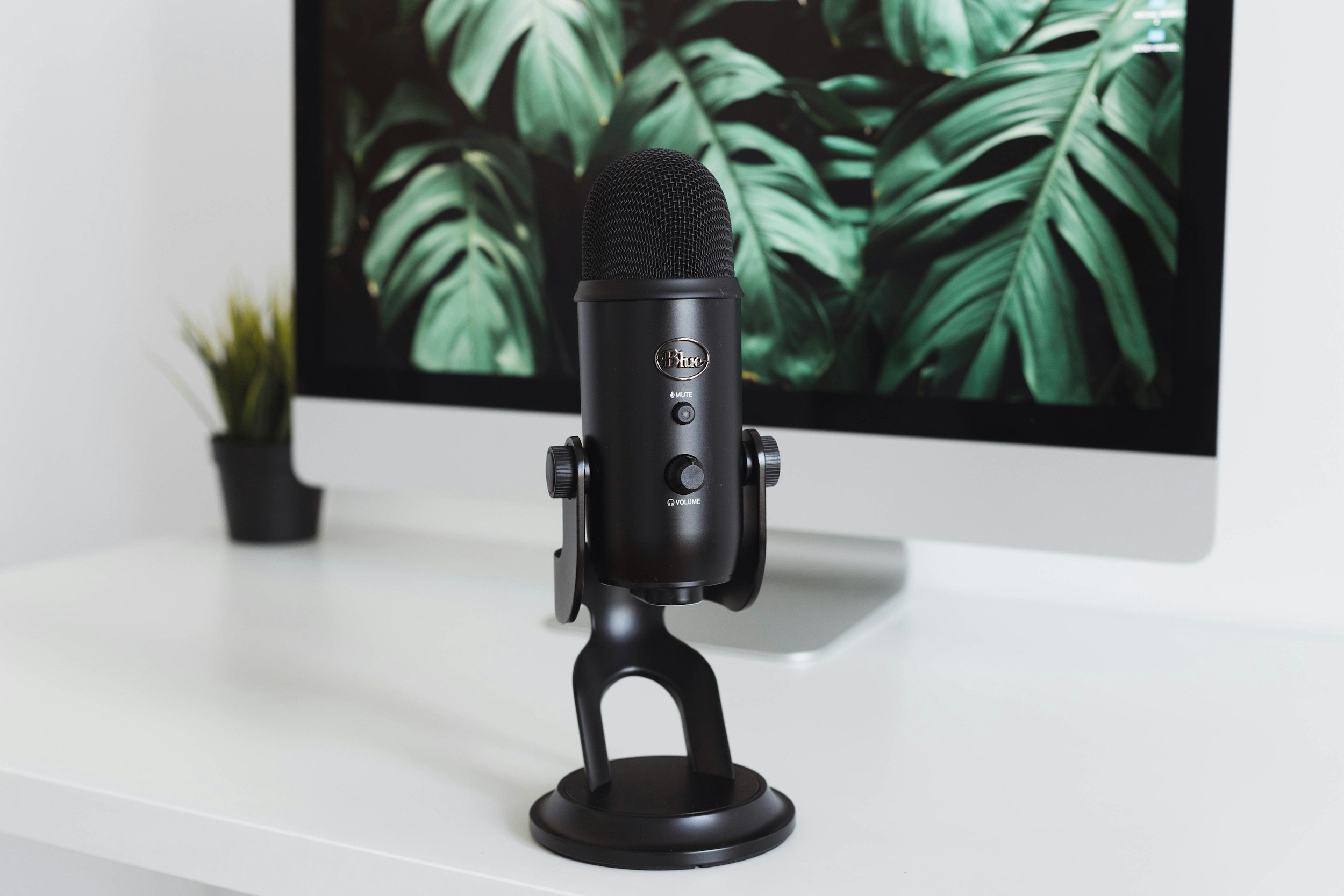Black studio microphone on a white desk with a monitor displaying green tropical leaves, and a small potted plant in the background.