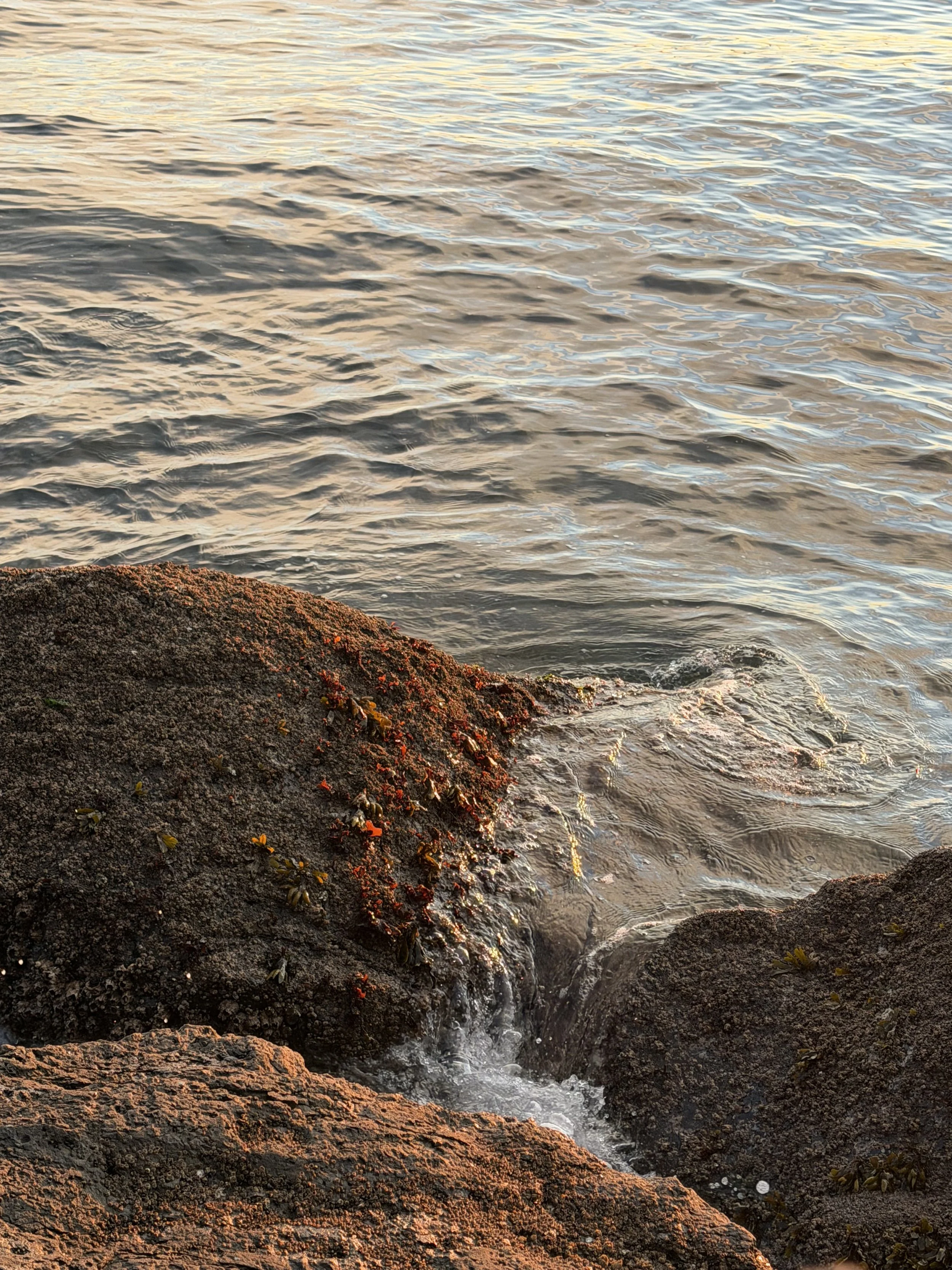 Photo of water lapping against rocks at the shoreline, with sunlight reflecting off the surface.