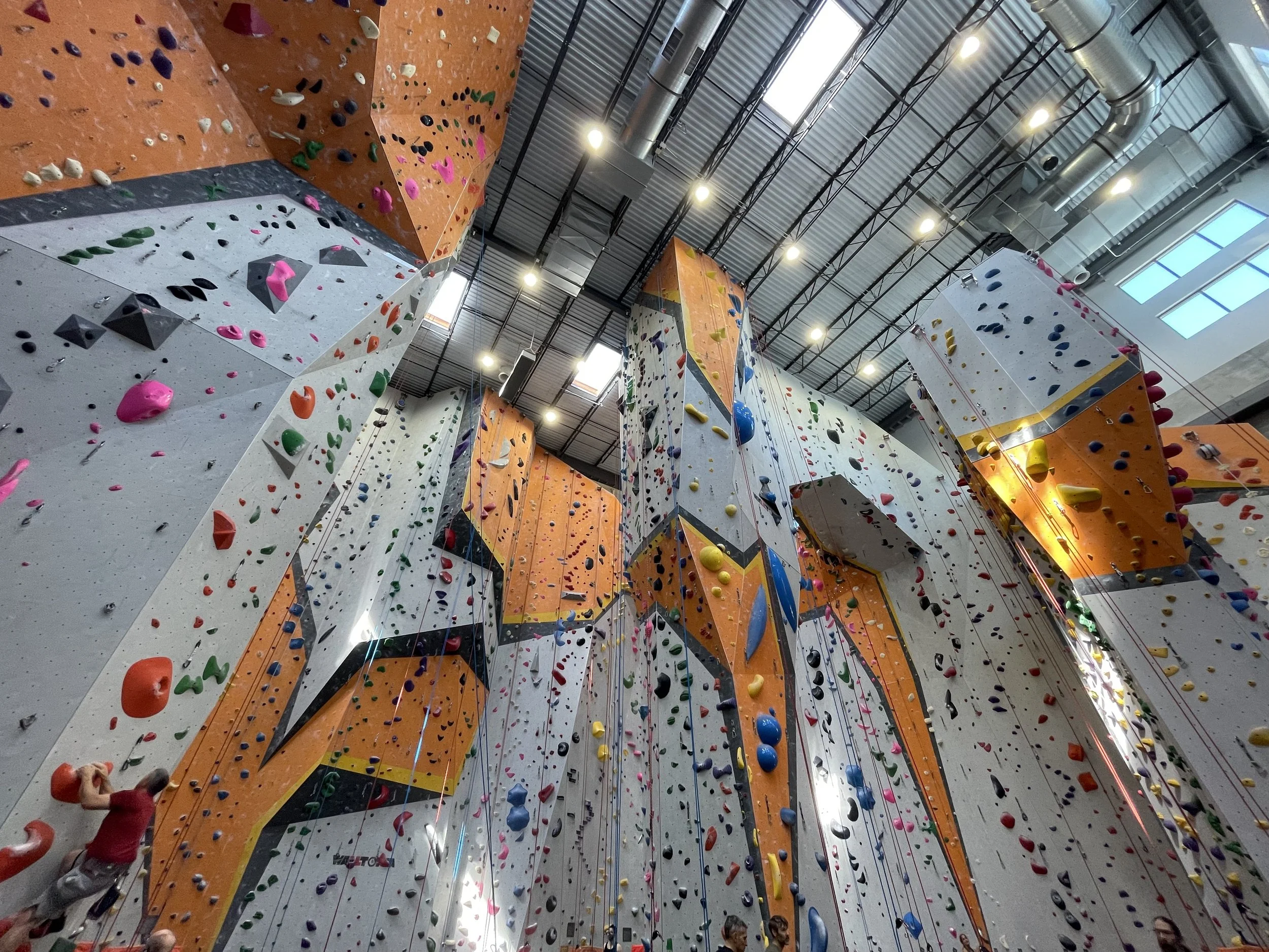 First Ascent: Finding Quiet Above the Noise while Reaching for New Connections