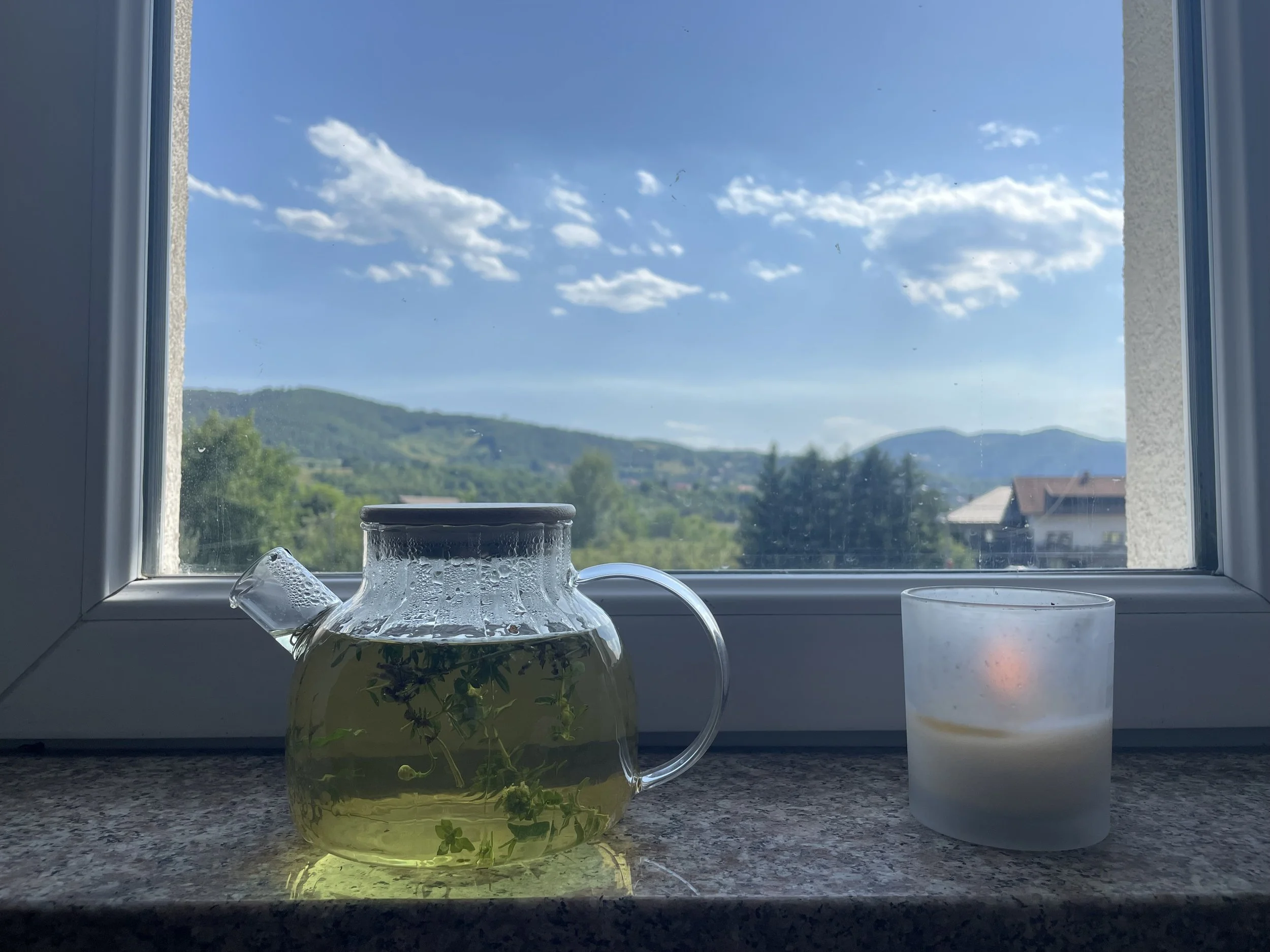 Majčina Dušica: Bosnia’s Wild Thyme and Its Centuries-Old Healing Tradition