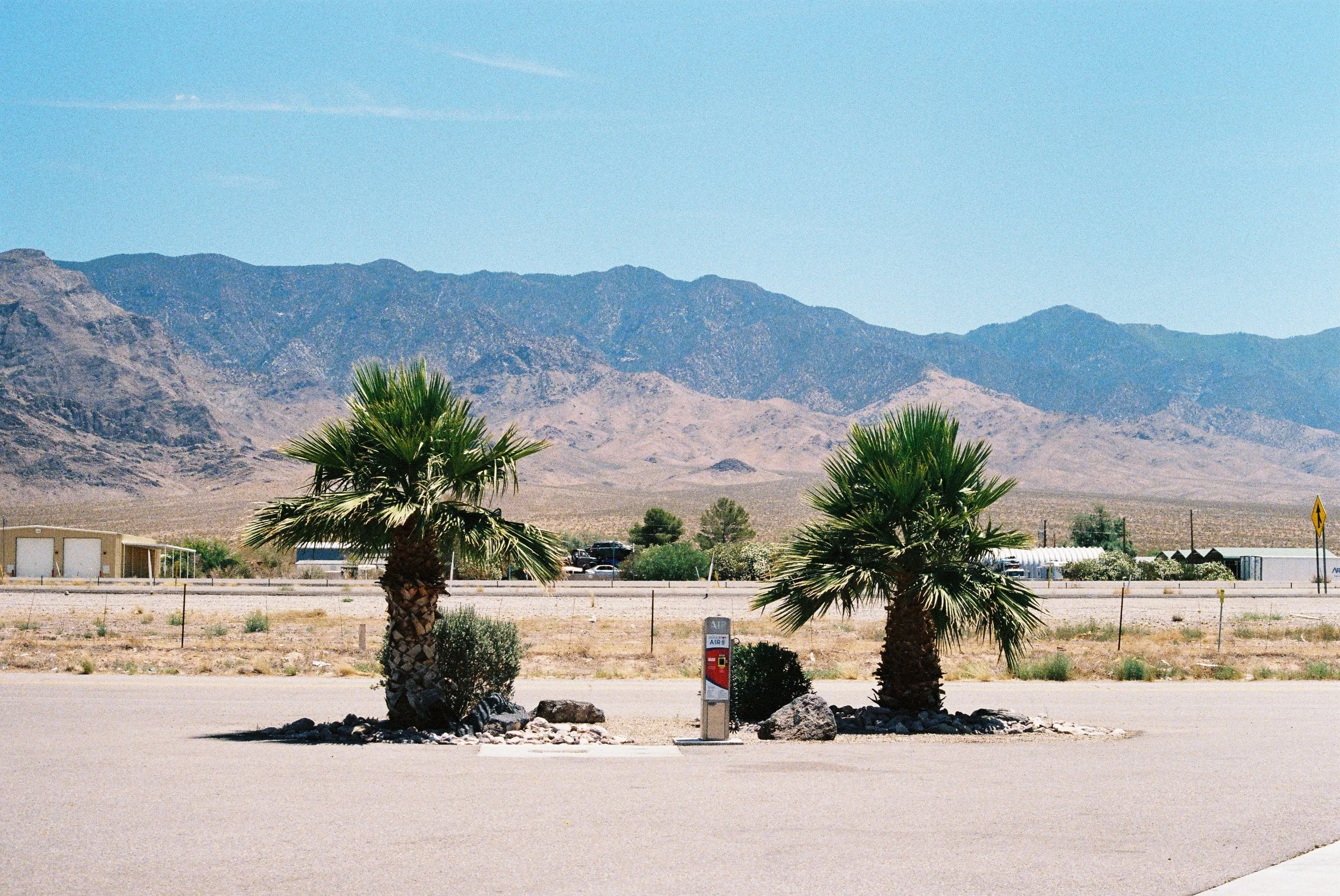 A desert landscape with mountains in the background, two palm trees in the foreground, and a parking lot with cars and some buildings.