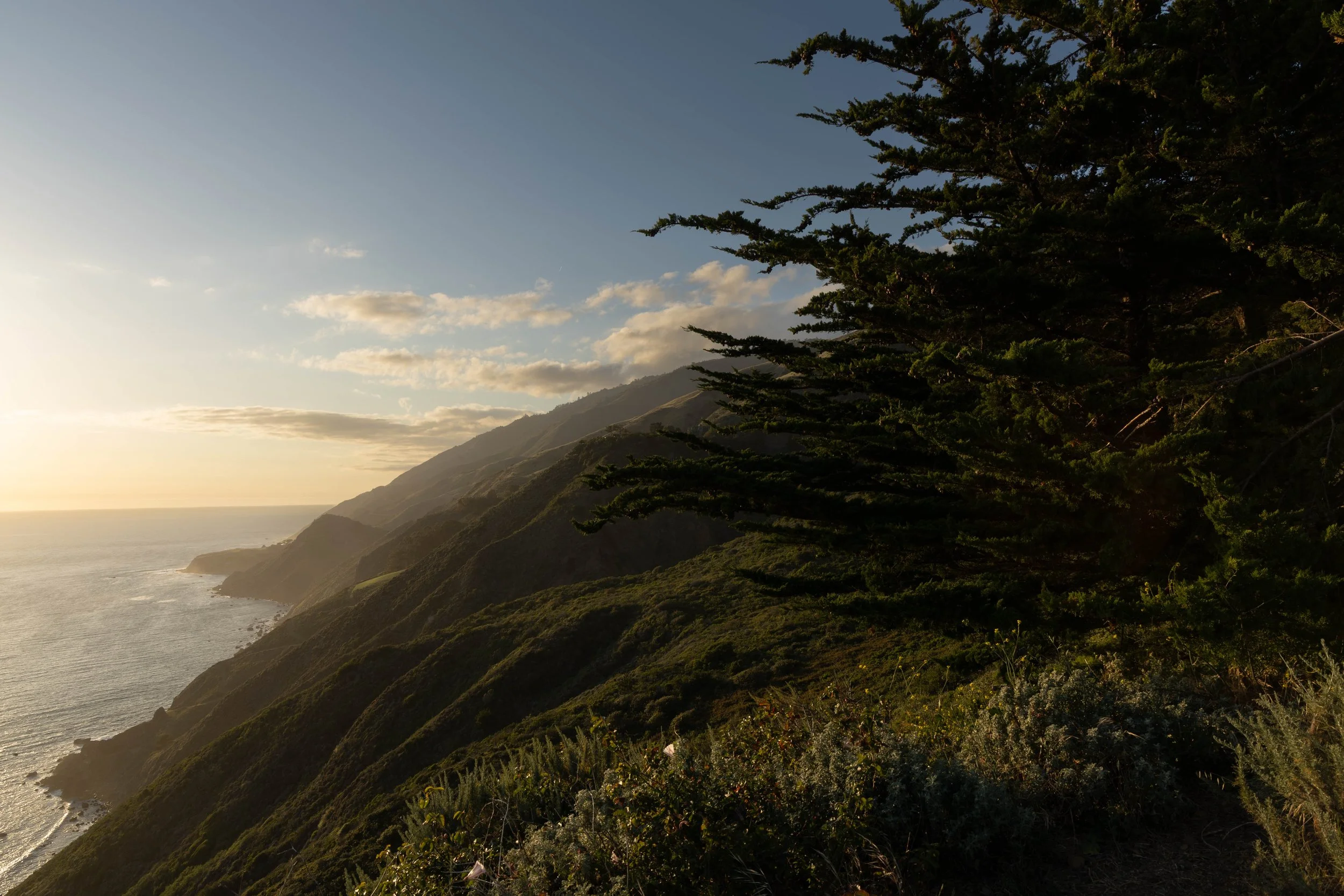 Coastal cliffs with greenery and trees, overlooking the ocean under a partly cloudy sky in the late afternoon.