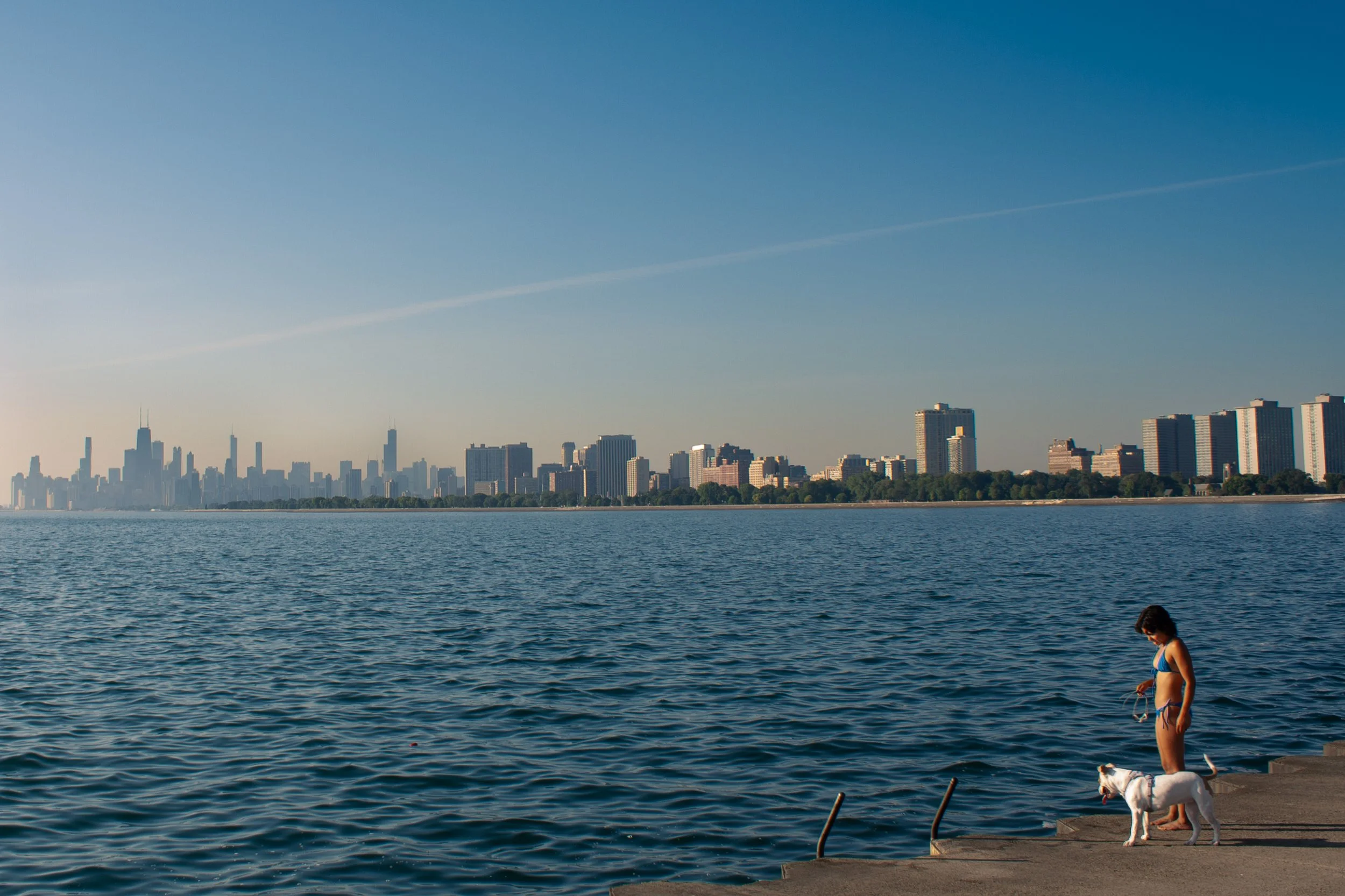 A woman and a dog standing on a concrete pier by a body of water, with a city skyline in the background under a clear blue sky.