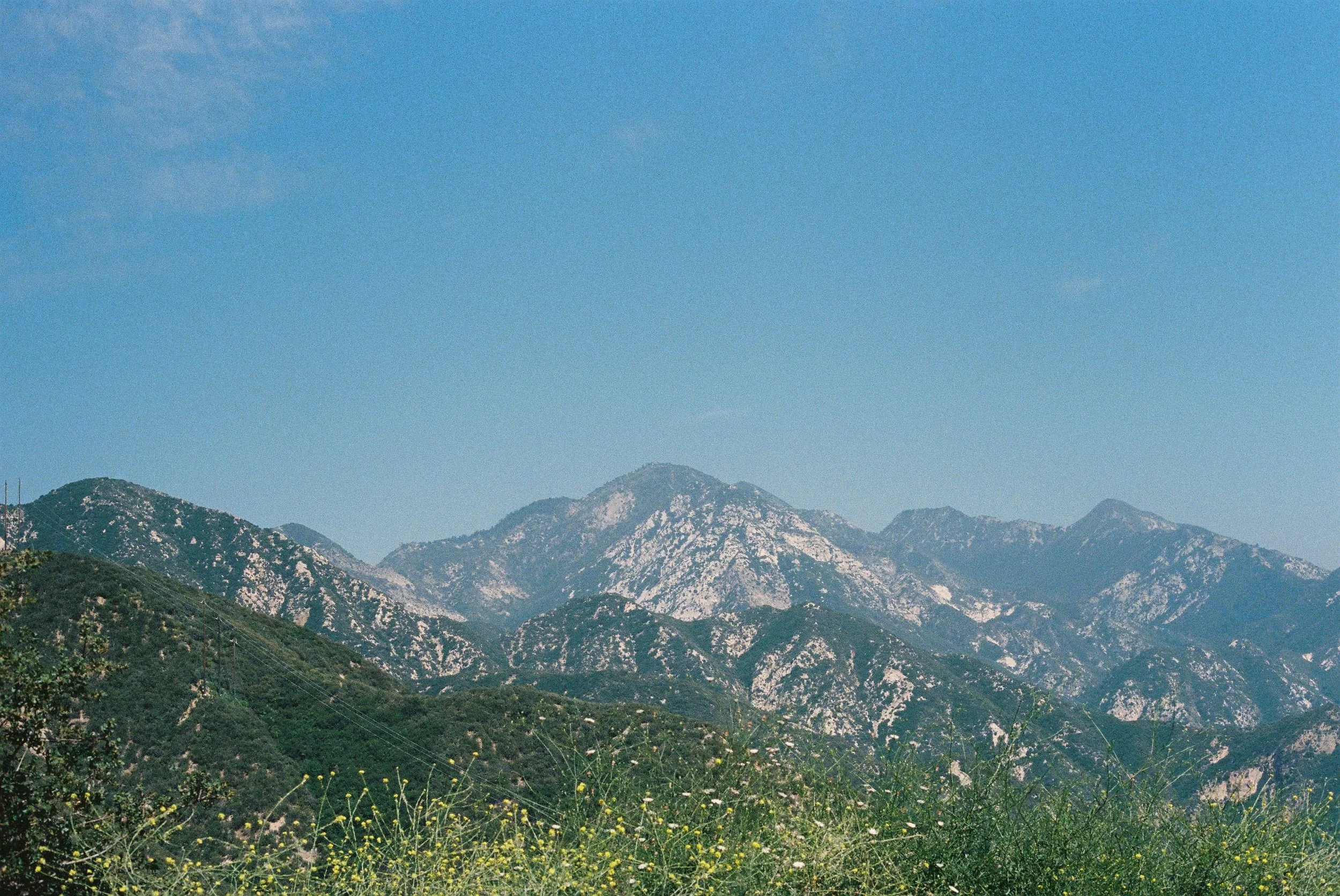 Landscapes and Environment