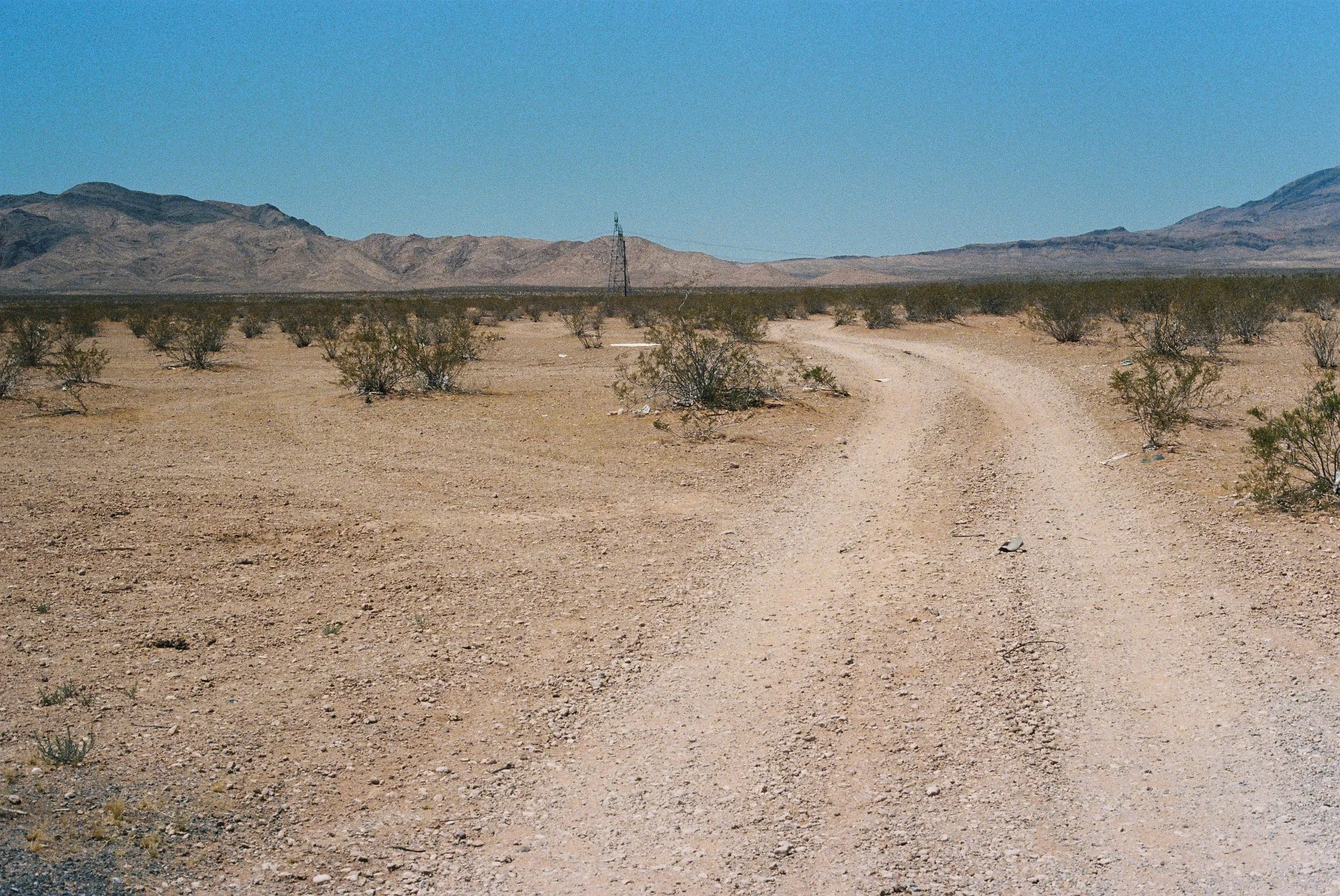 Photo29.JPG