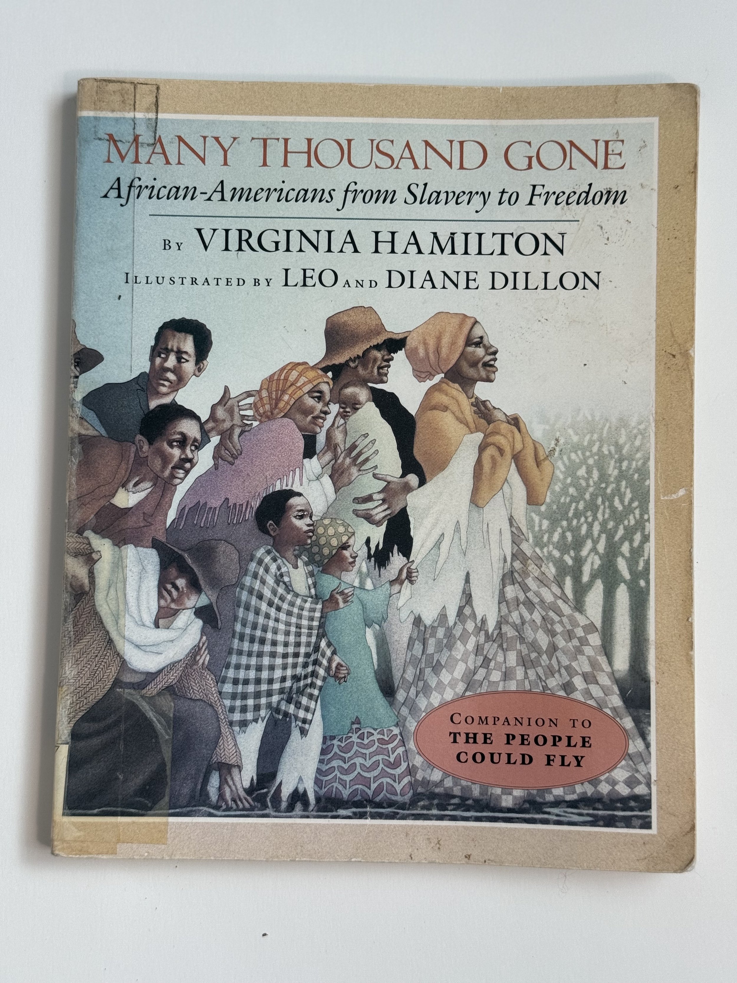 Many Thousand Gone: African Americans From Slavery to Freedom