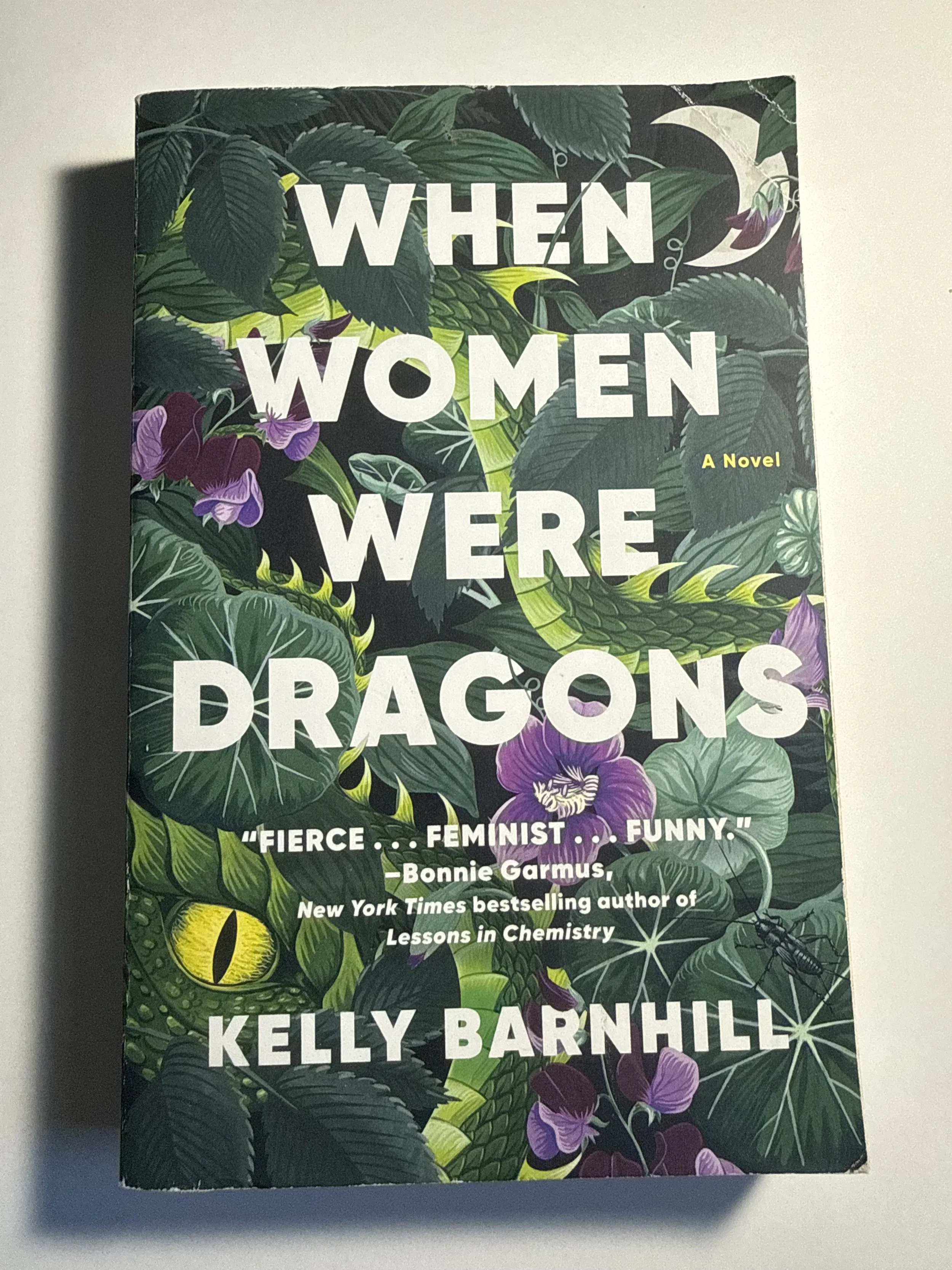 When Women Were Dragons