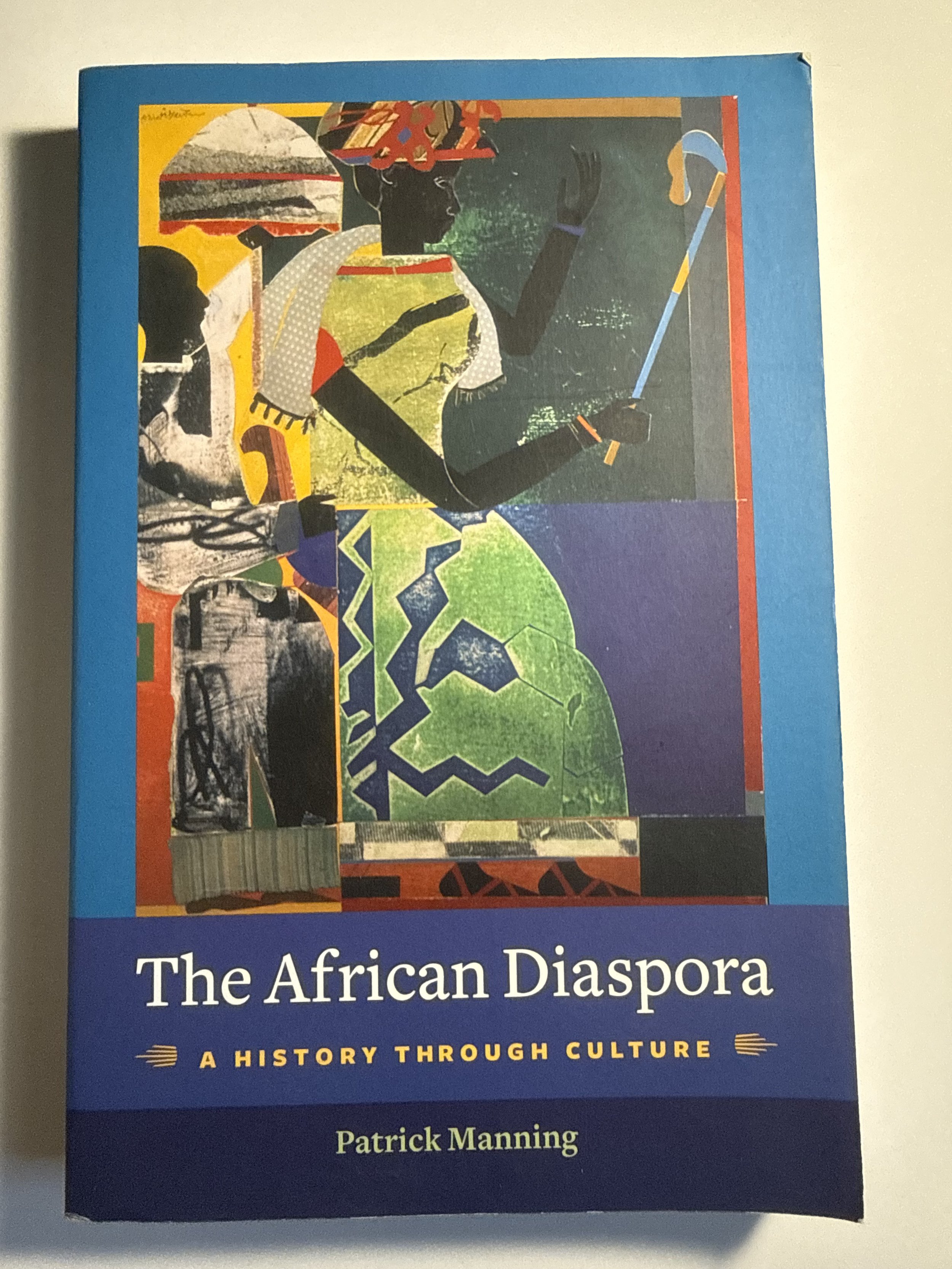 The African Diaspora: A History Through Culture