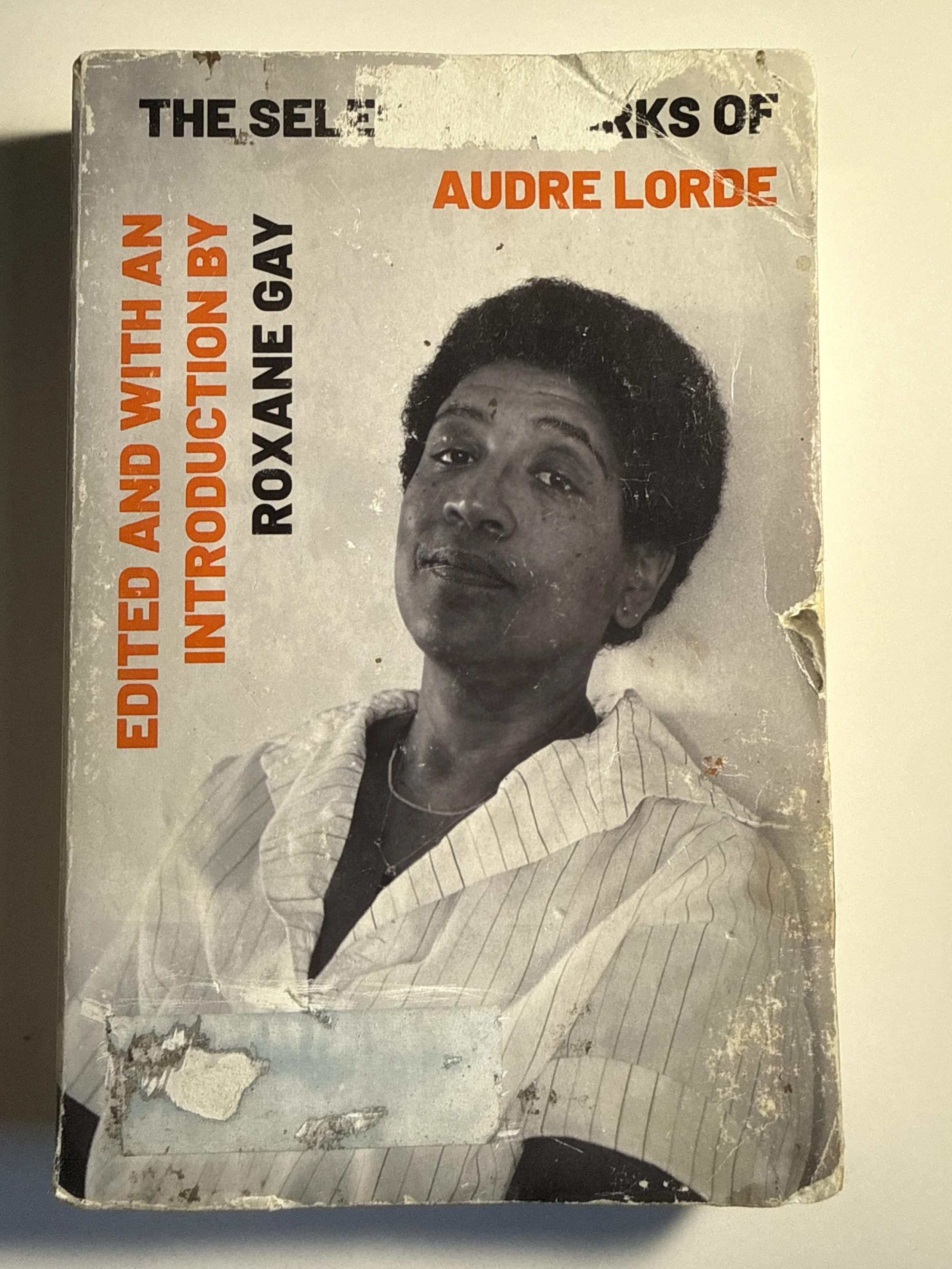 The Selected Works of Audre Lorde