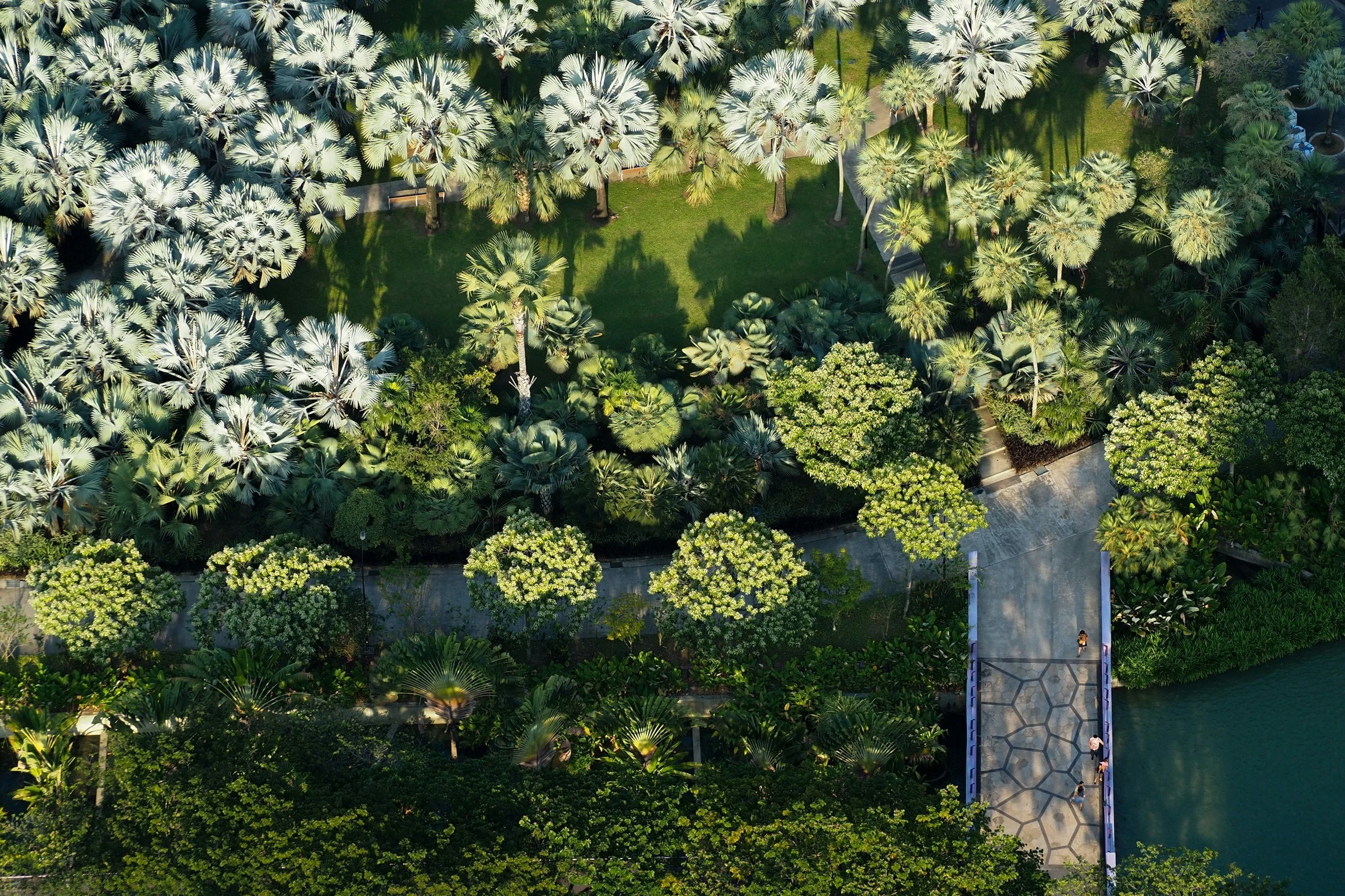 The surprising psychology of noticing plants