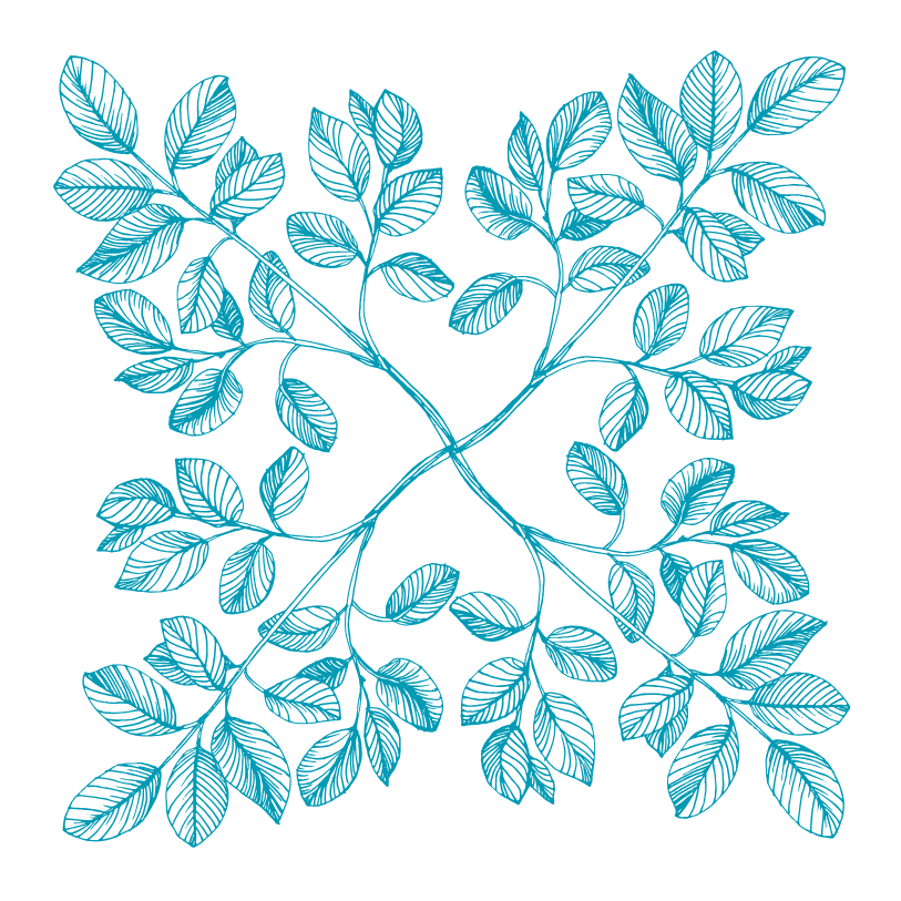 A teal line illustration of leaves in the shape of a square