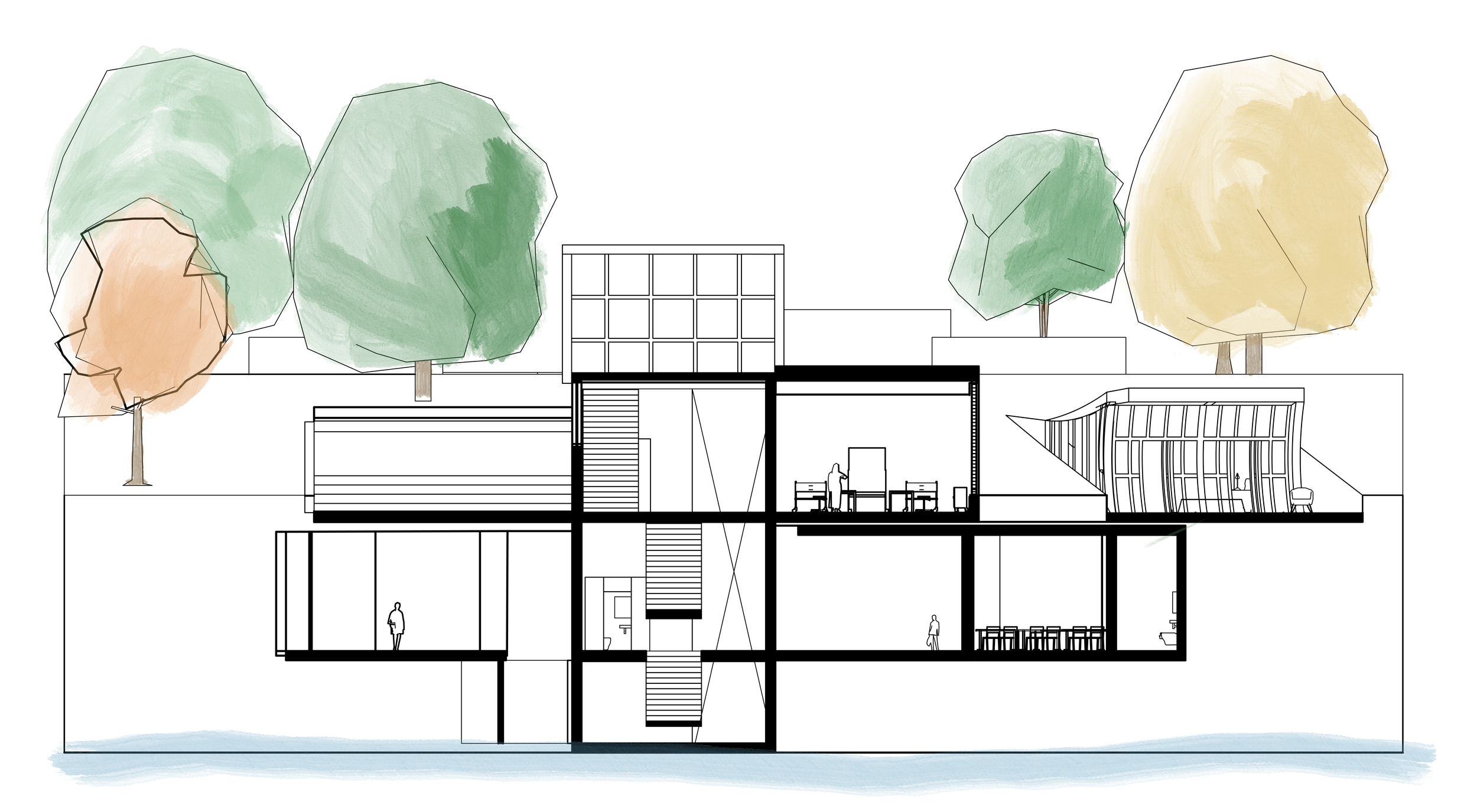 HW_S_Section (2) (1).png