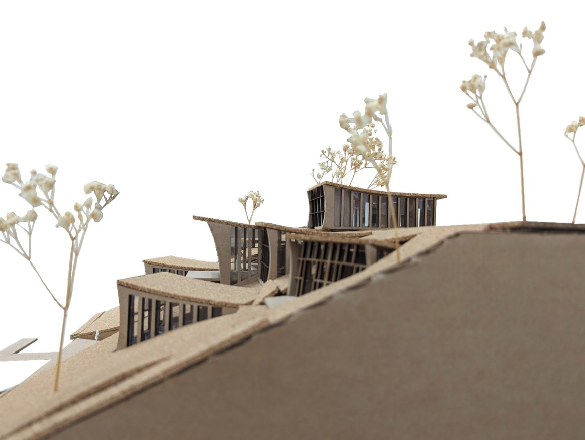 Screenshot 2026-02-15 164844.png