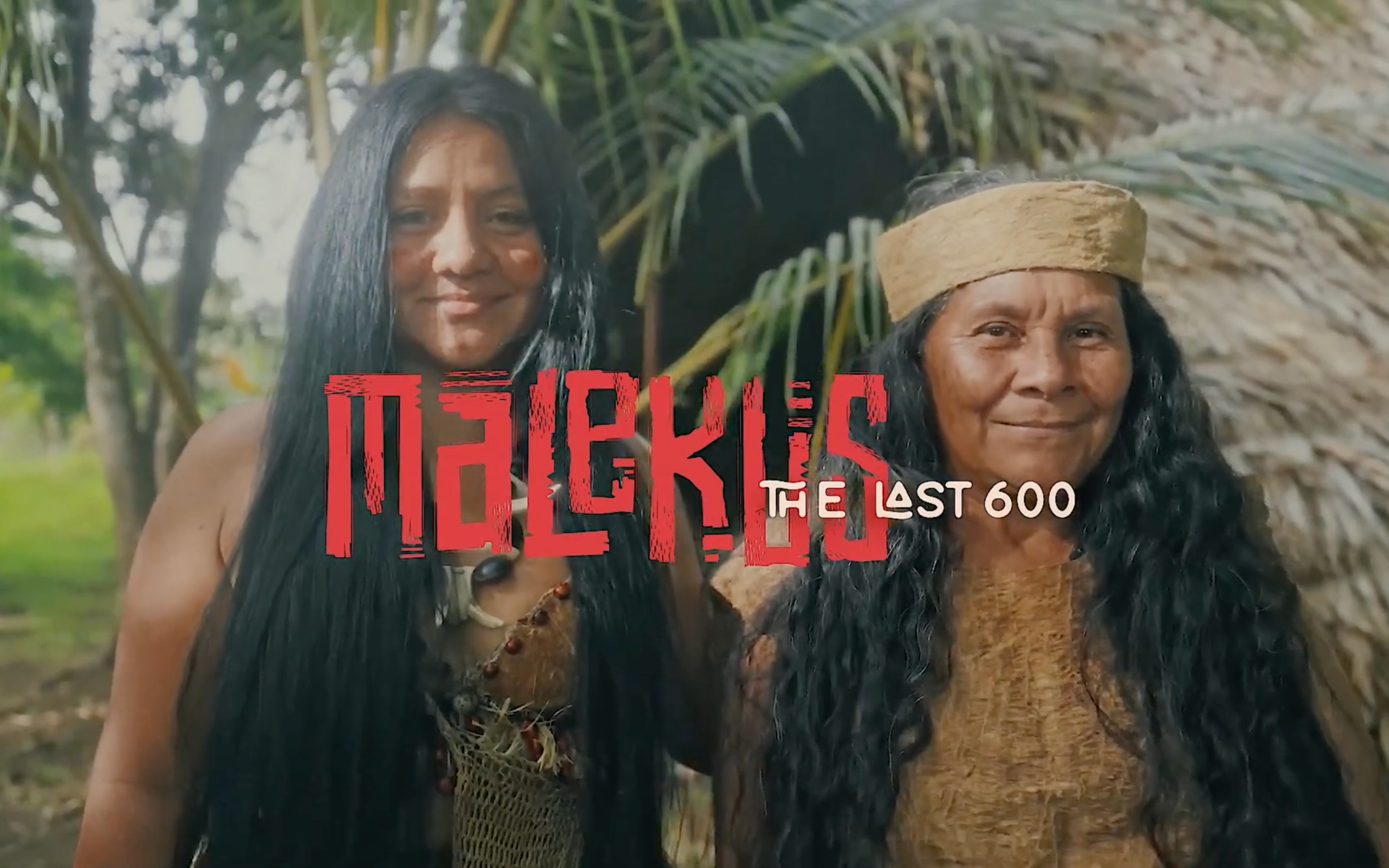 The Rainforest Lab - Malekus. The Last 600