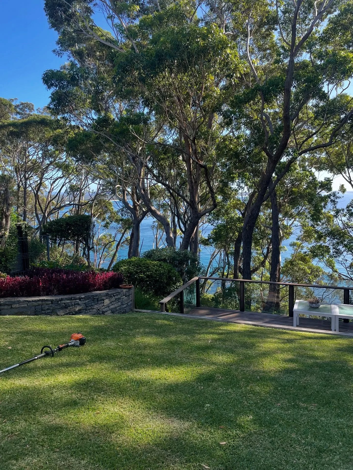 Great start to August, bring on Spring! 

Call Jacob - 0420 936 018
.
.
.
.
.
.
#landscape #gardening #mollymook #ulladulla #spring