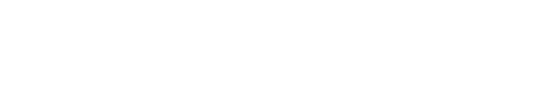 Guide &amp; Seek Chicago