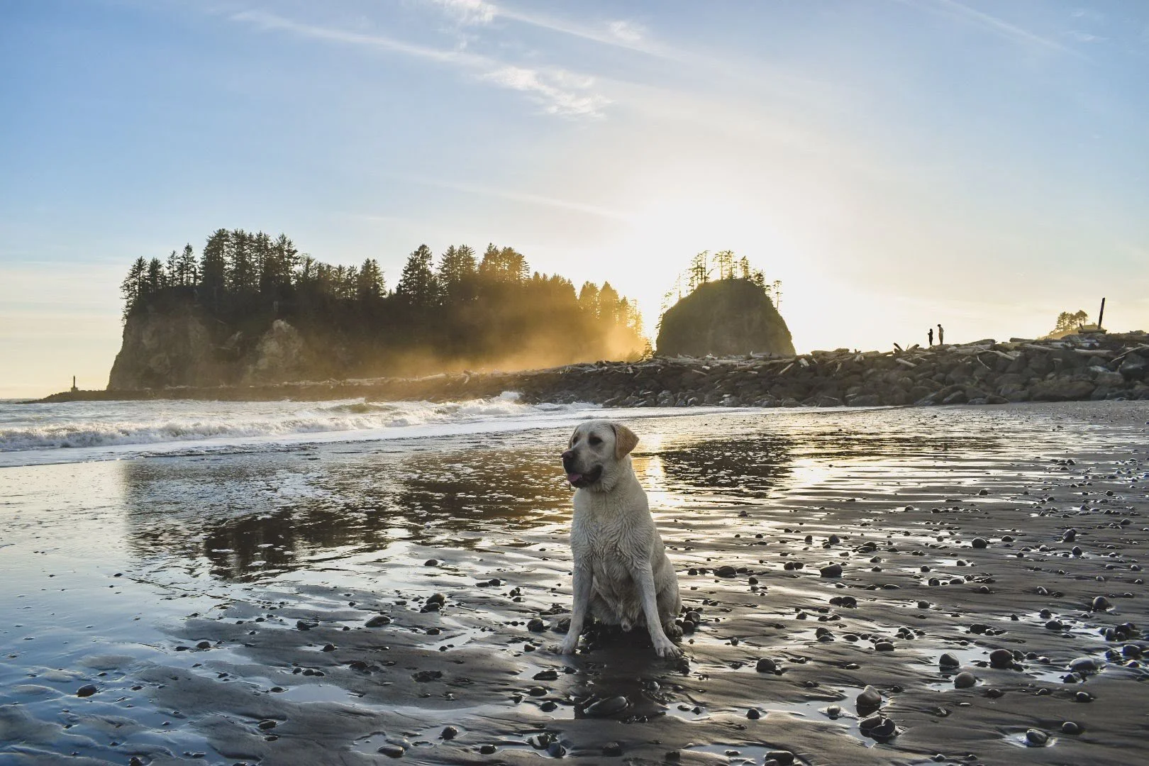 Forks, Washington Pt. 1: Less Vampires, Way More Salmon