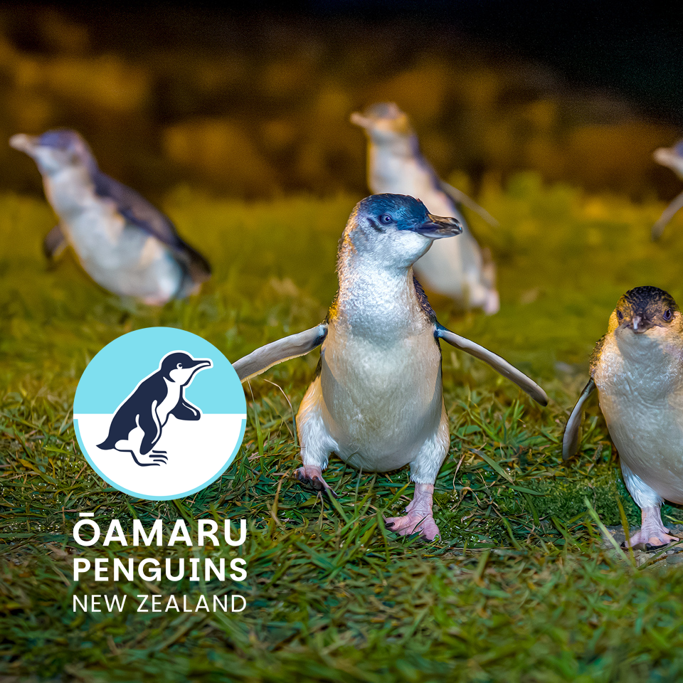 A unique conservation experience