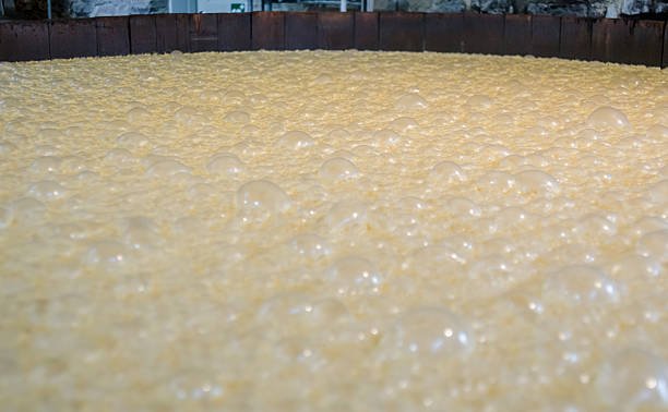 Close-up view of a large metal container filled with a yellowish, bubbly liquid, likely cheese or curd in the cheese-making process.