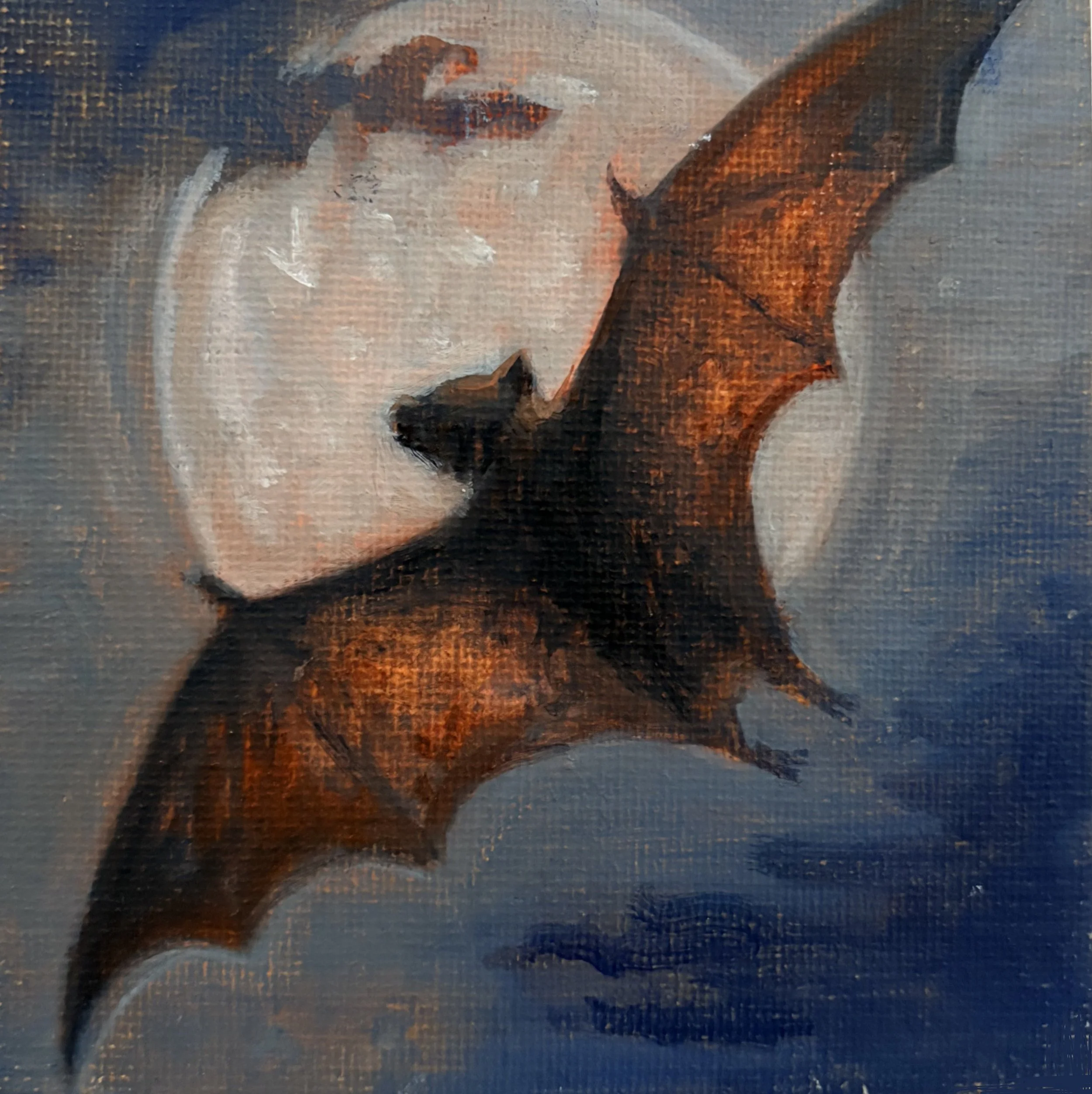 Bat 4x4