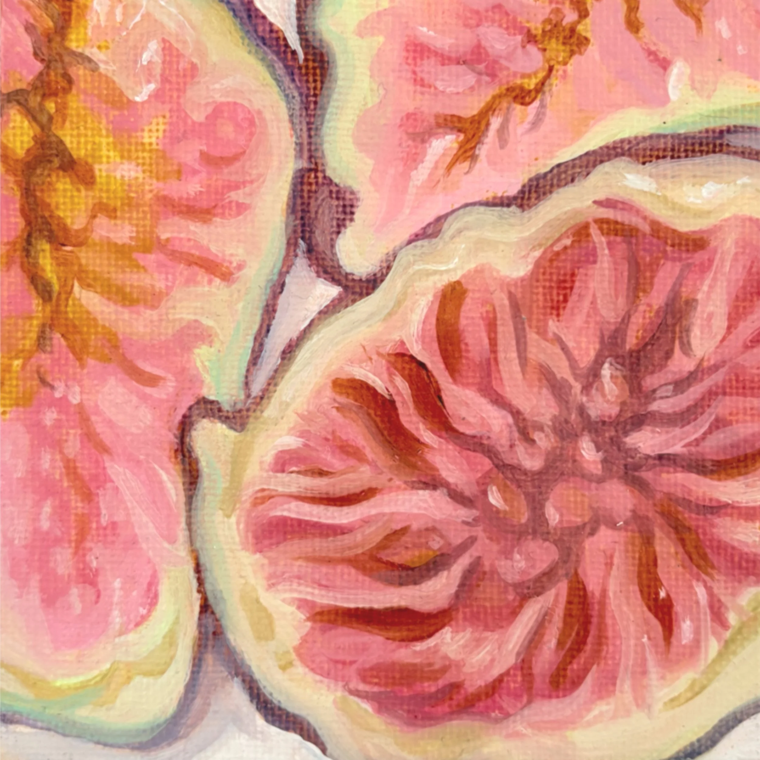 'Figs' 4x4 Art Print