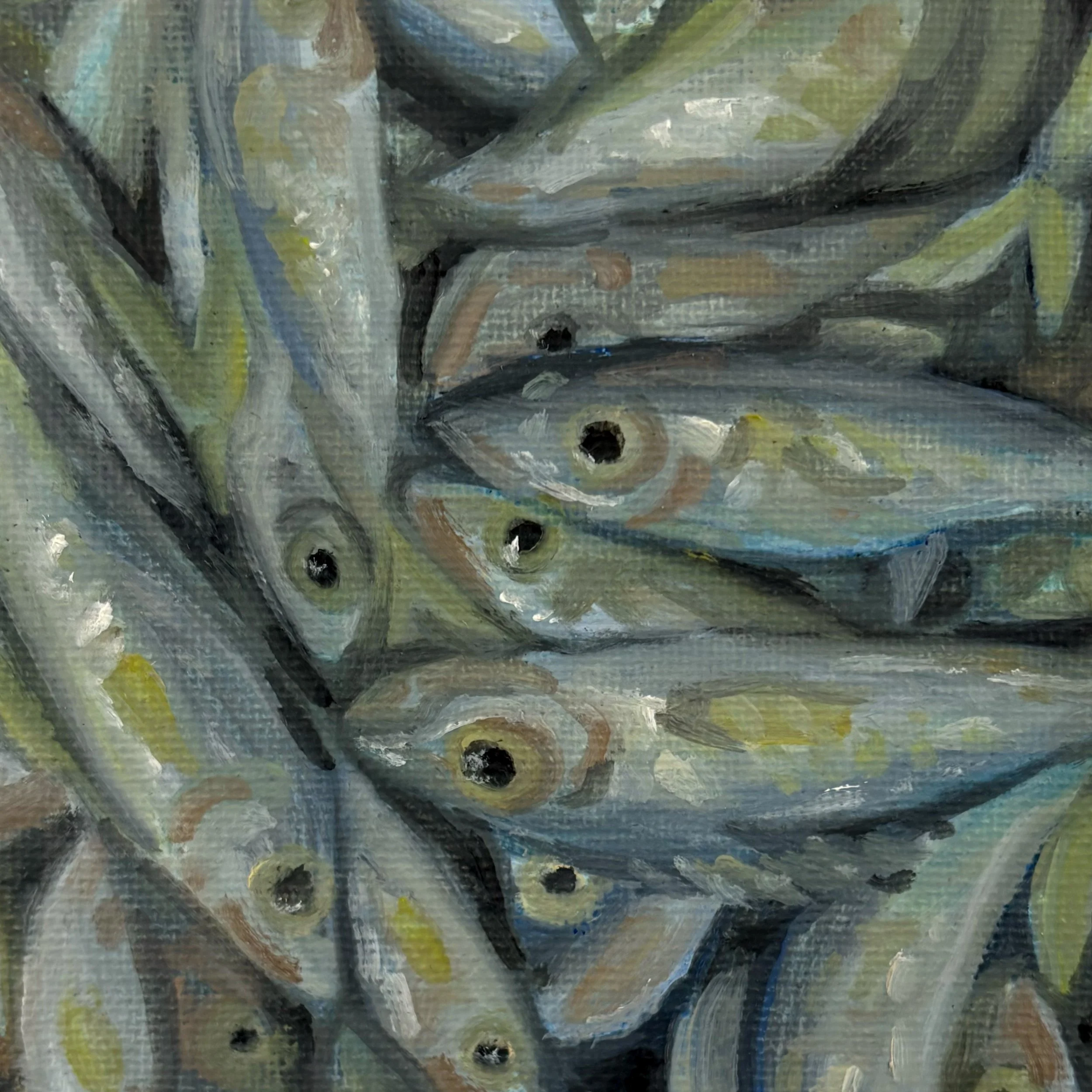 Fresh Fish 4x4 Art Print