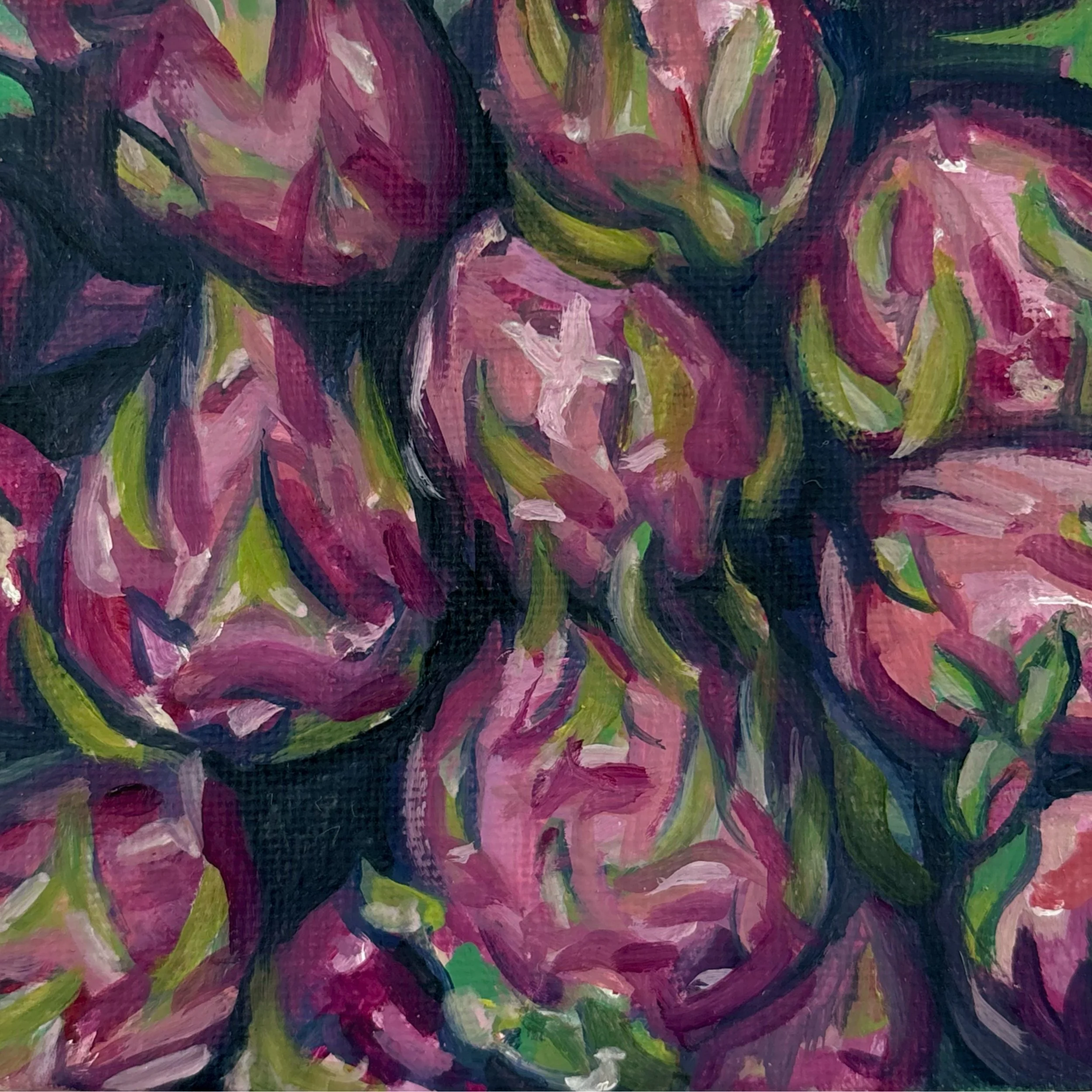 'Dragonfruit' 4x4 Art Print