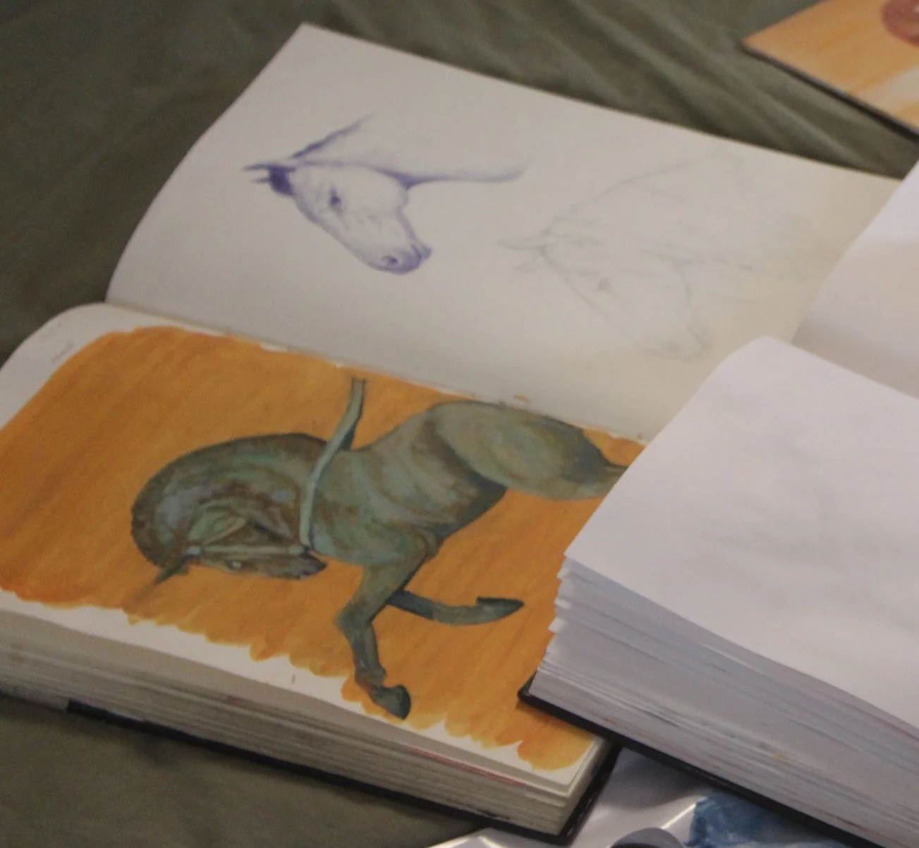 Open sketchbook showing a colored painting of a horse on the left page and a pencil sketch of a horses head on the right page.