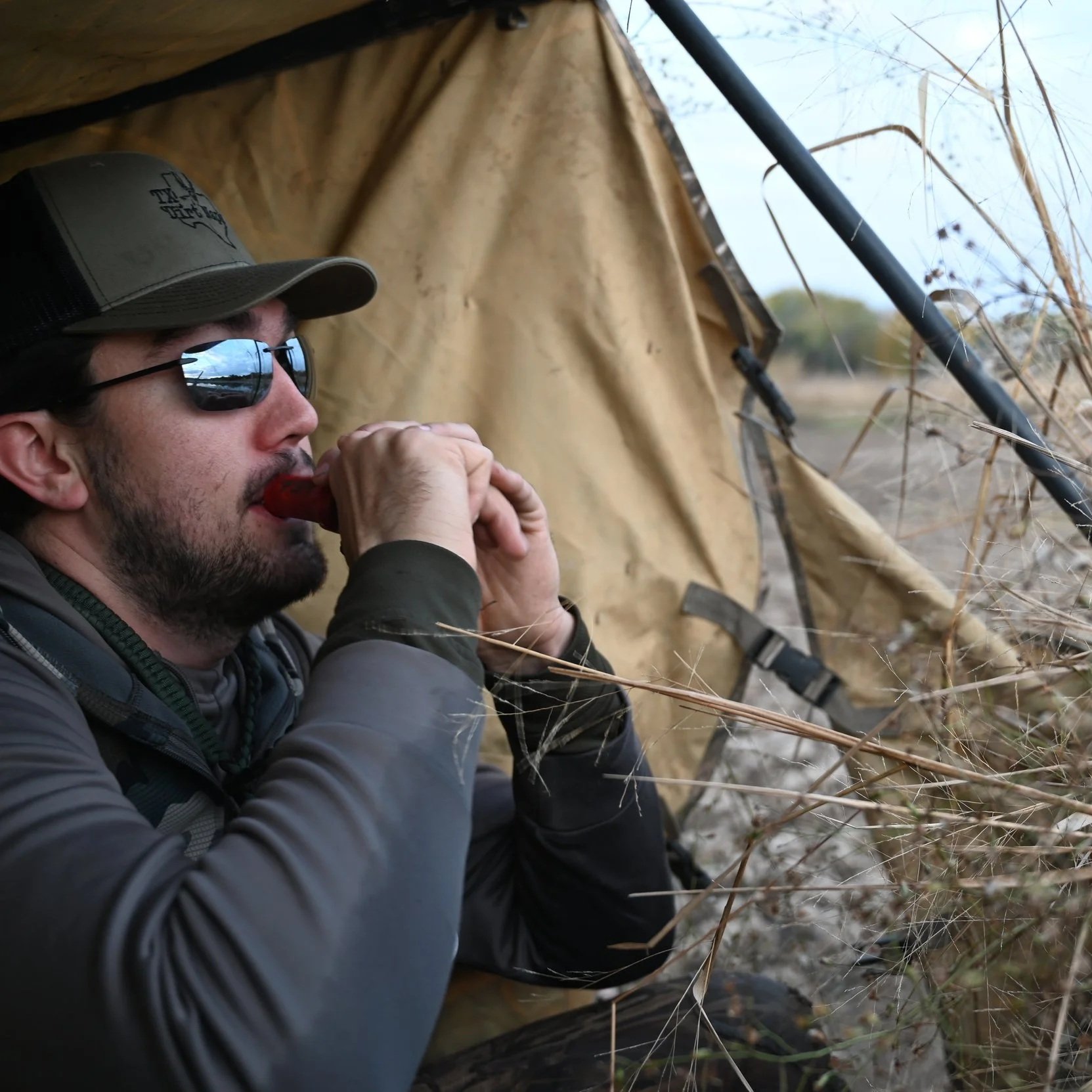 A man wearing sunglasses and a cap, sitting inside a camouflage tent near tall dry grass, eating a snack.