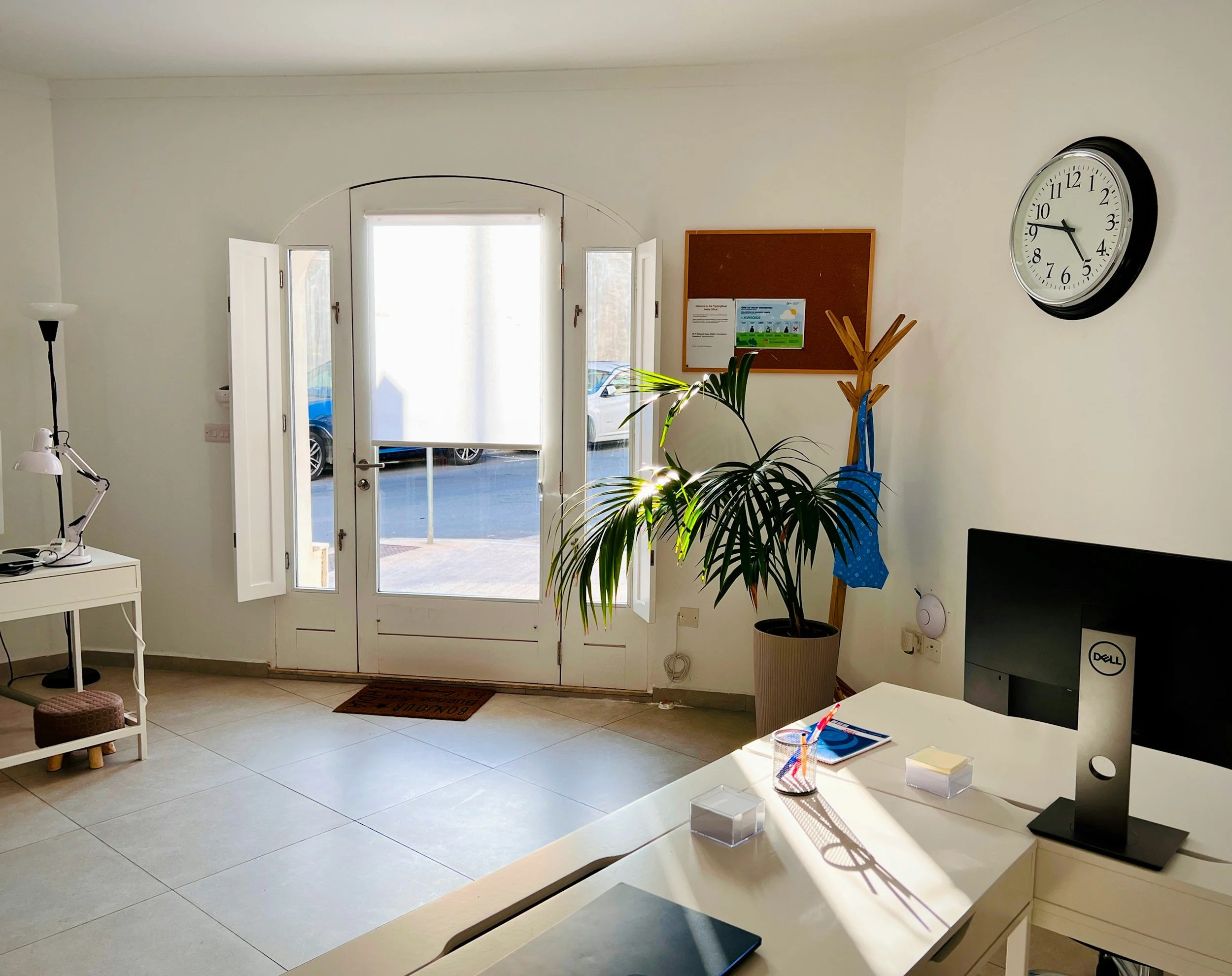 Minimalist reception area with peace lily, illustrating professional psychology clinic standards in Australia