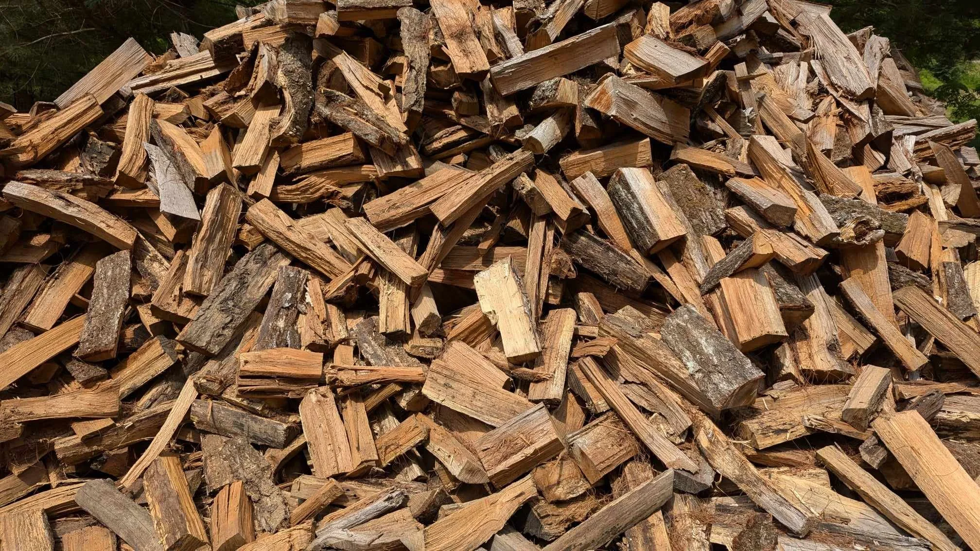 6caf36db-a0f1-4a14-a64a-385409c6a651.jfif