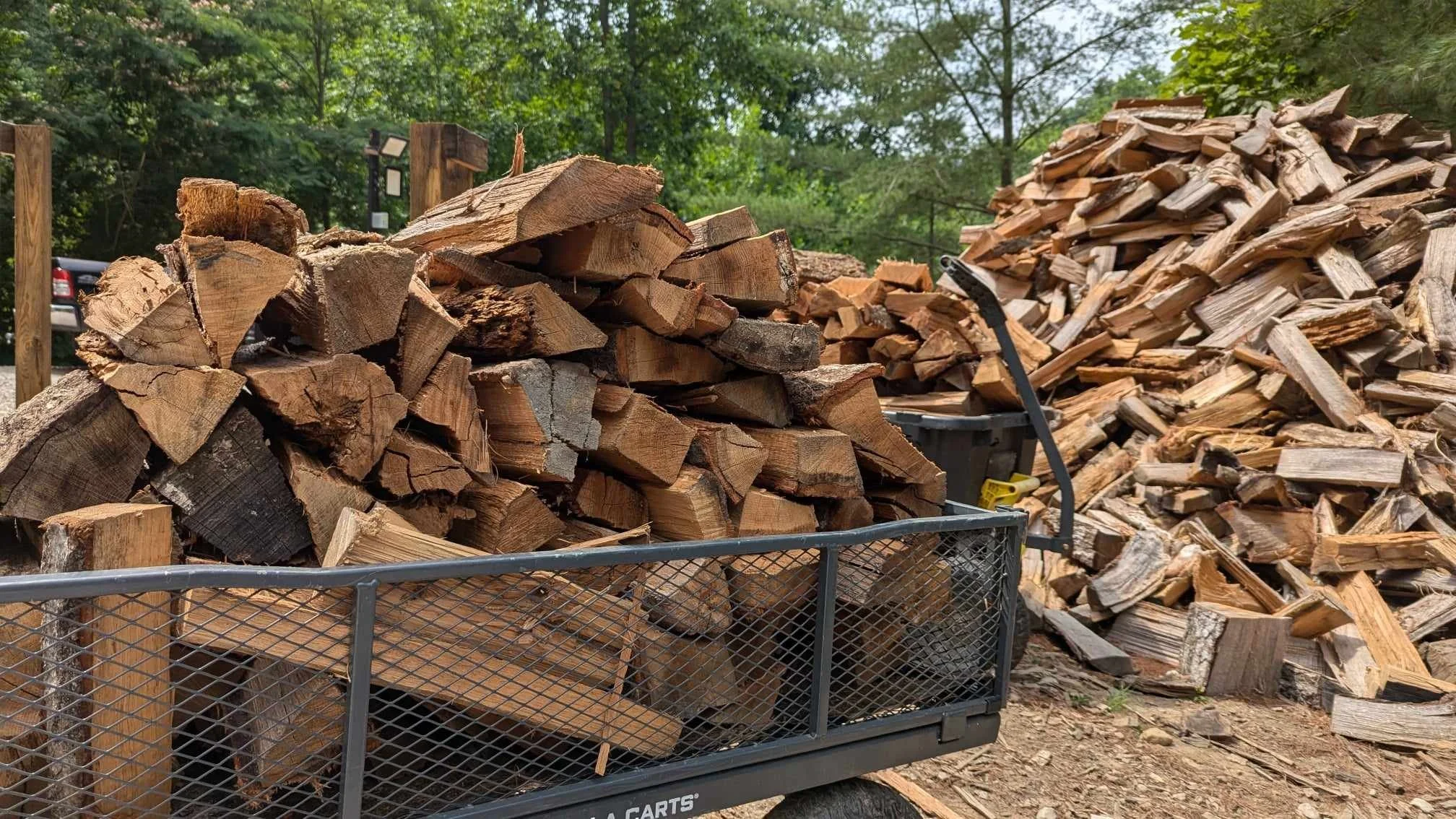 Mountains of various hardwood firewood in a wood yard. A wagon full of hardwood is in the foreground.