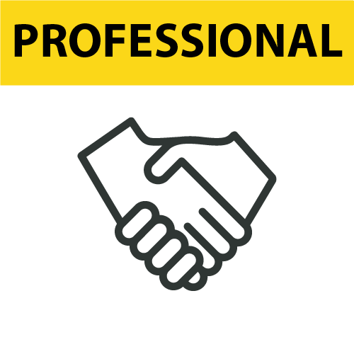 PROFESSIONAL