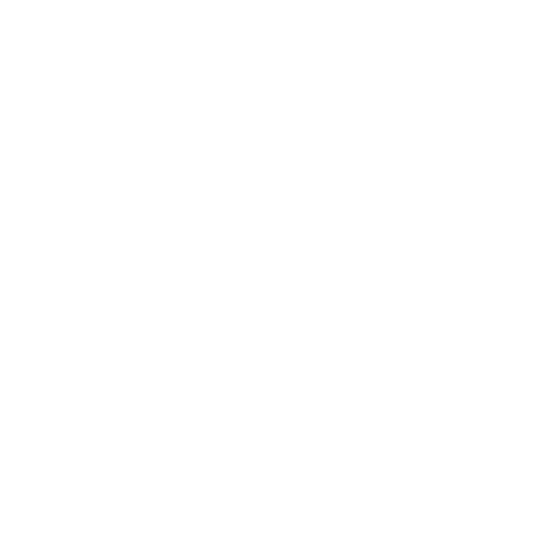 Stress, Anxiety & Nervous System Support