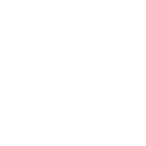 Healthy ageing and long-term wellbeing strategies