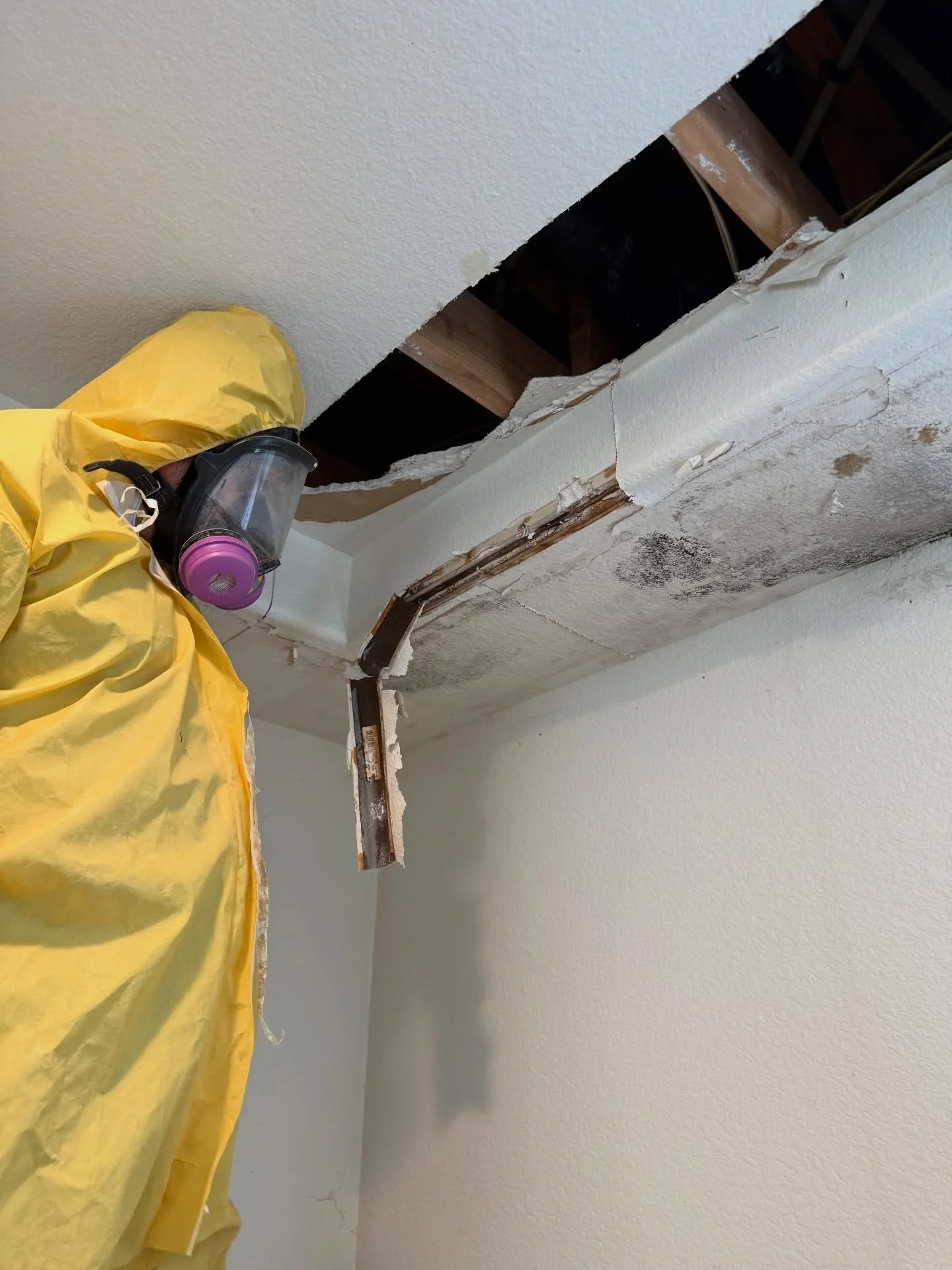 Brand new homeowner with an upstairs shower leak. 

Isolated the chamber ✅ 
Negative air and Haz Mat ✅
Removed contaminated materials ✅
Dry Down Complete ✅
Third Party Mold test Clear ✅

This homeowner found that the shower neck had been improperly r