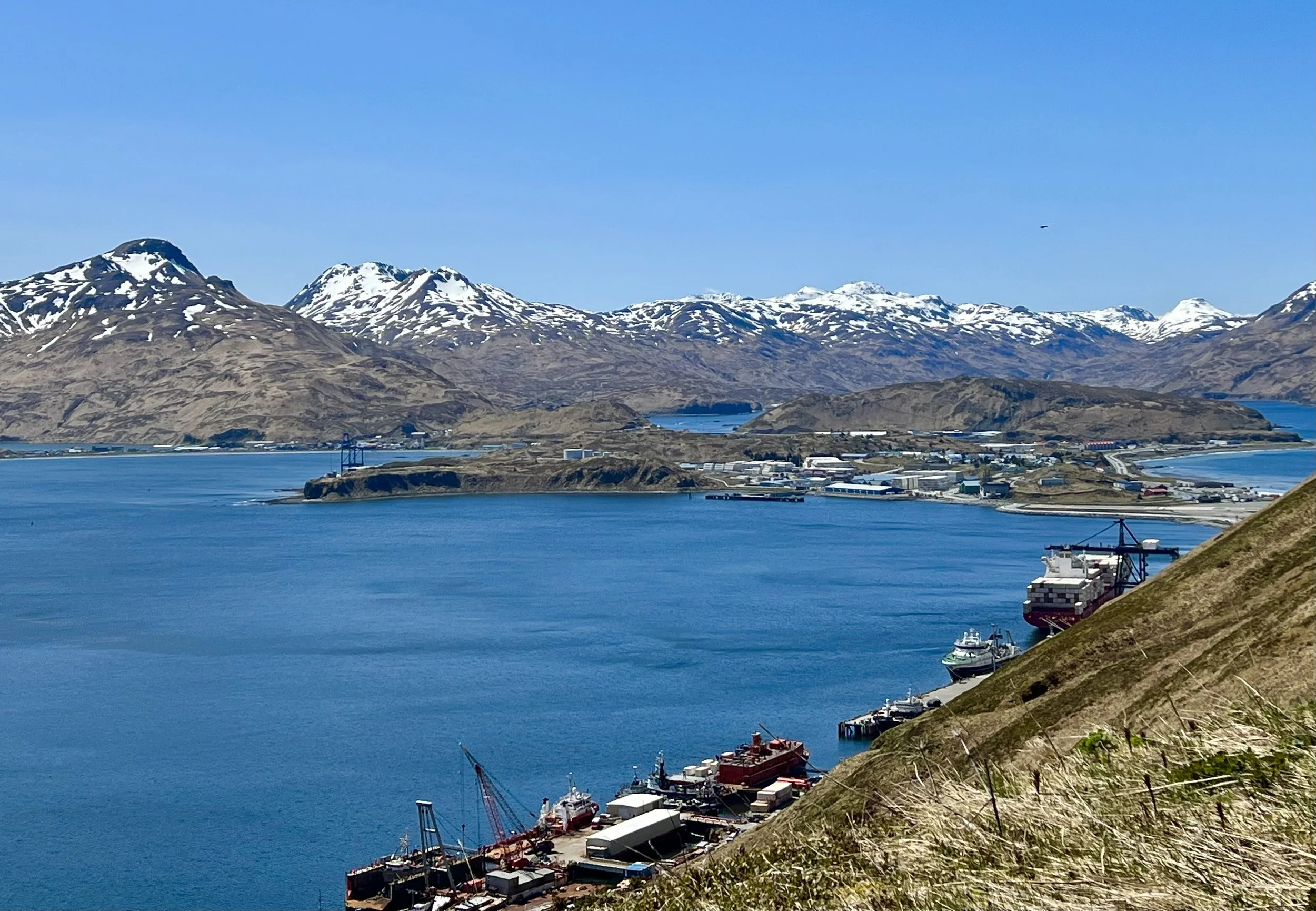 dutch alaska.jpeg