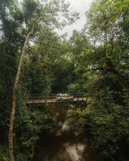 eoe-lei-activity-malaysia-taman-negara-national-park04 Small.png