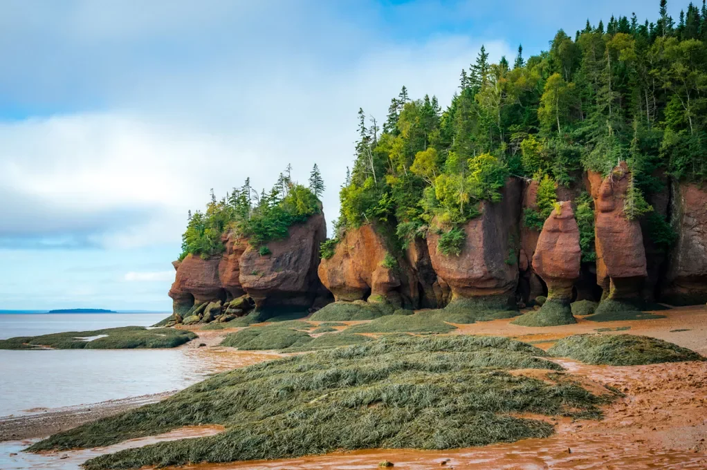Saint John (Bay of Fundy), Canada.webp
