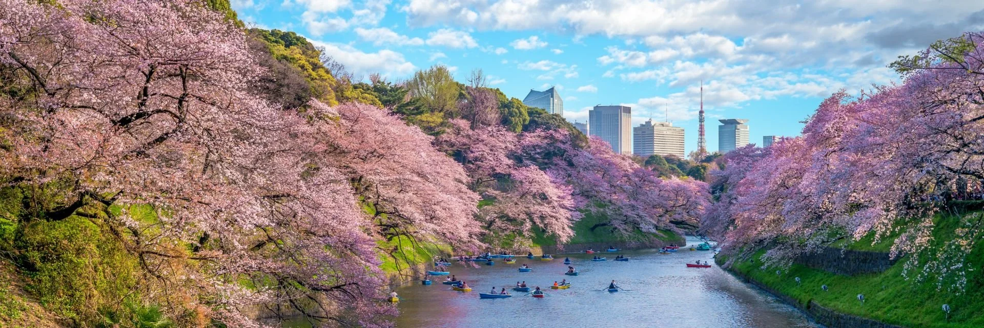 TOKYO_JAPAN_1920x640 (1).jpg