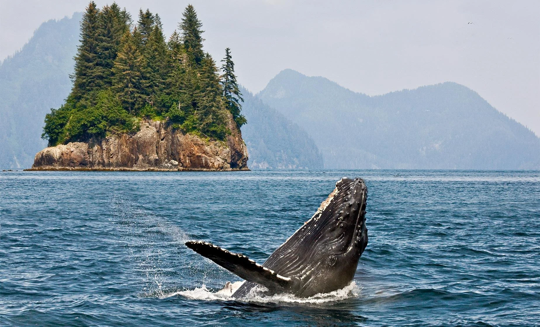 icy strait point.jpg