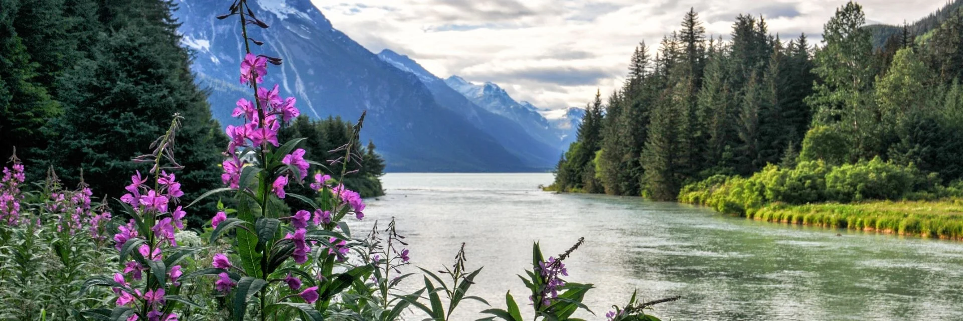haines.jpg