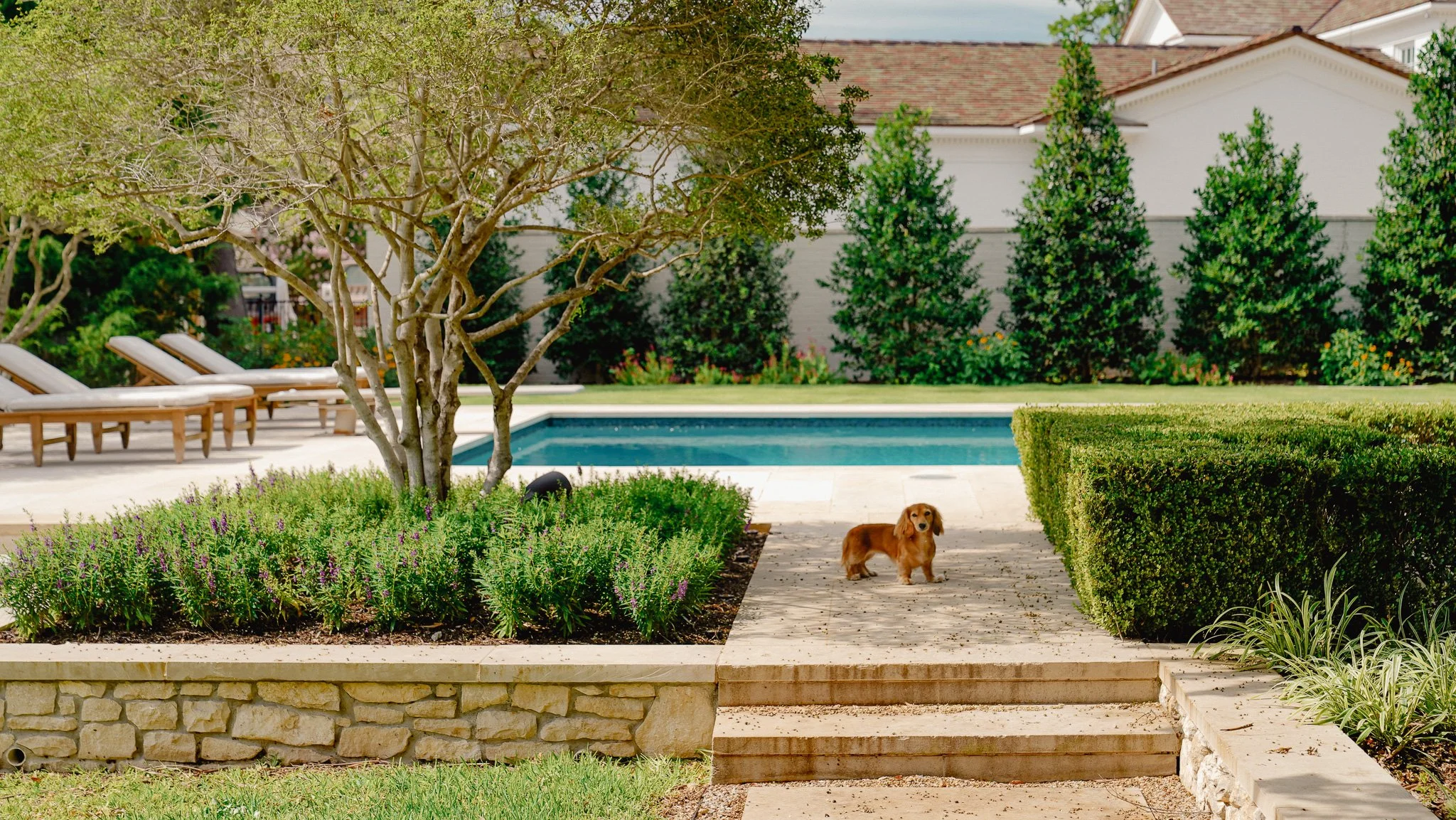 WESTOVER HILLS RESIDENCE
Location: Fort Worth, Texas
Landscape Architect: Studio Outside