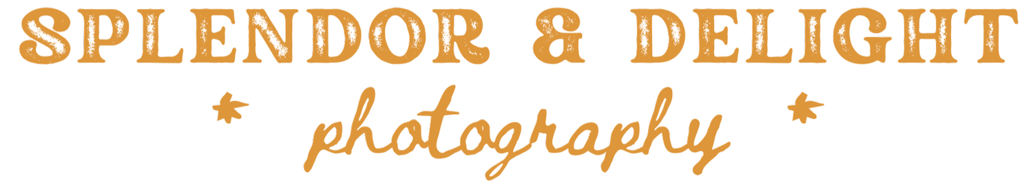 Splendor &amp; Delight Photography