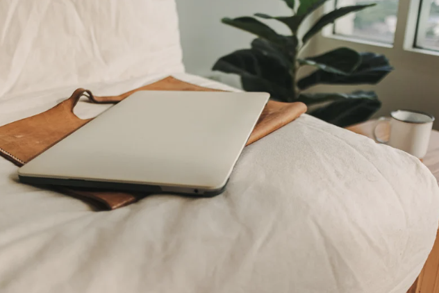 Laptop on a white bed with a plant and window in the background.