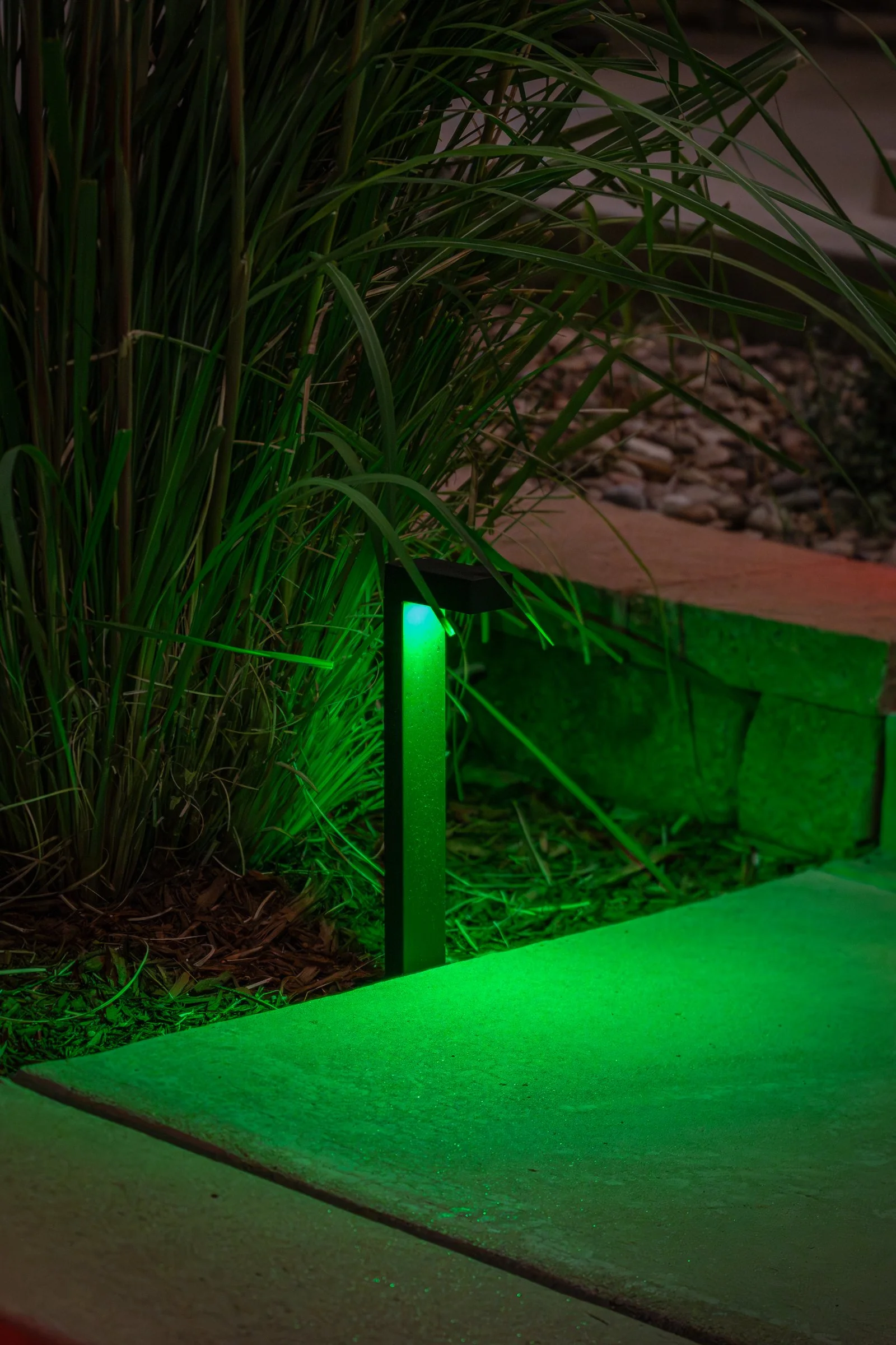 MBS - Adaptiv - Denver WEB-96.jpg