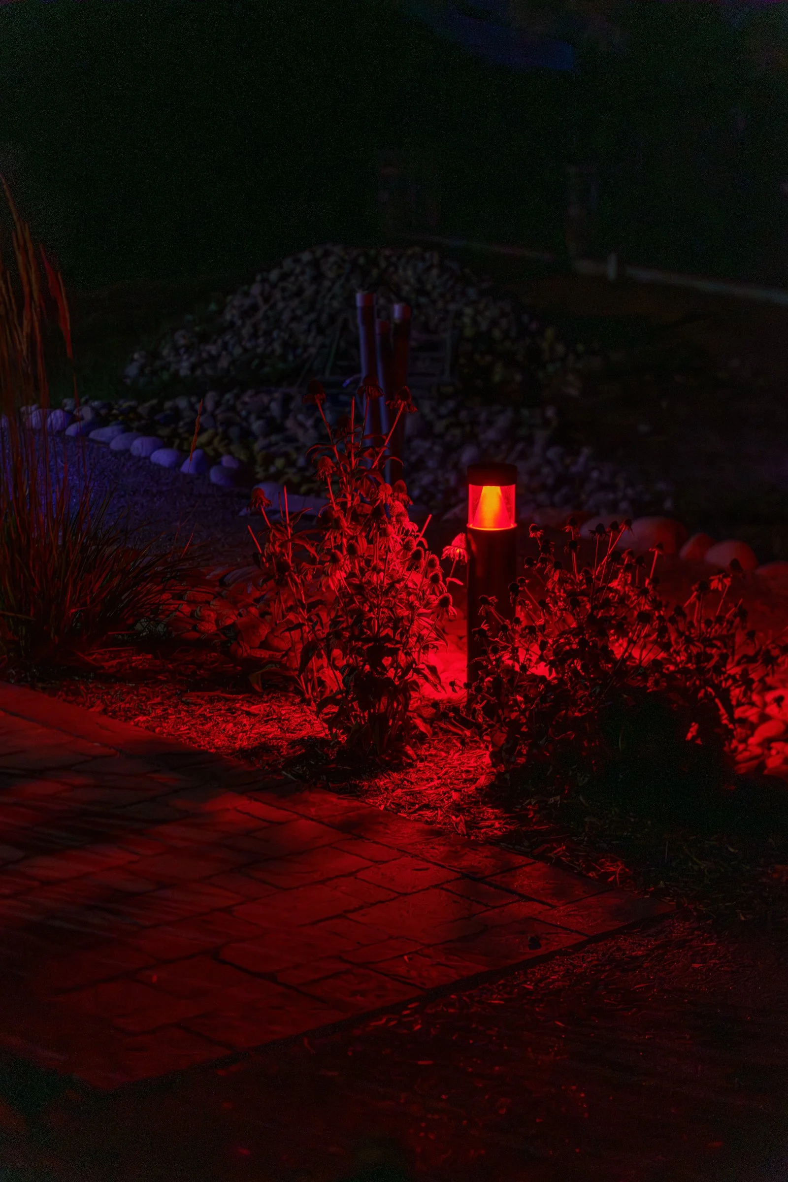 MBS - Adaptiv - Denver WEB-195.jpg