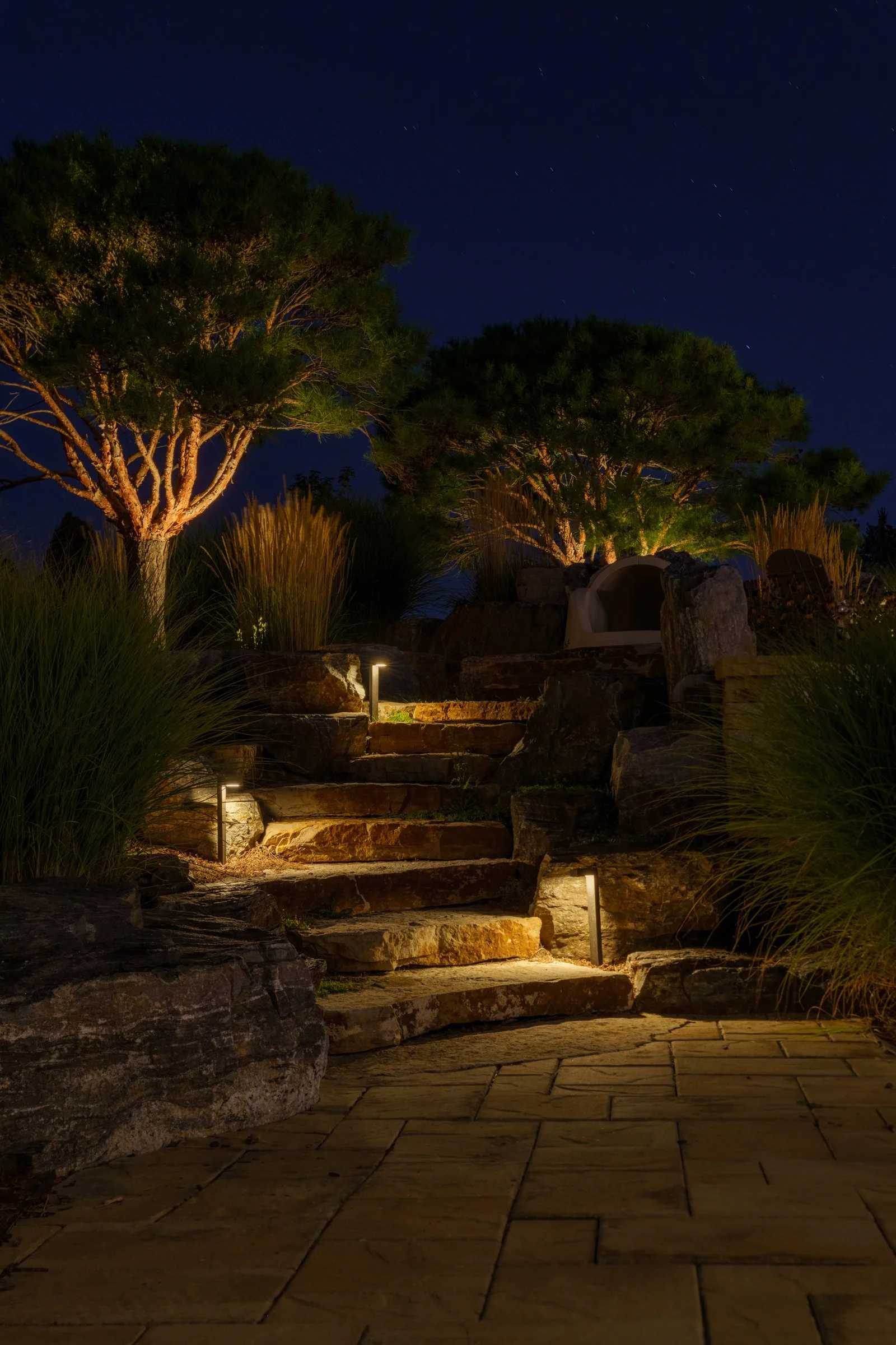 MBS - Adaptiv - Denver WEB-175 (1).jpg