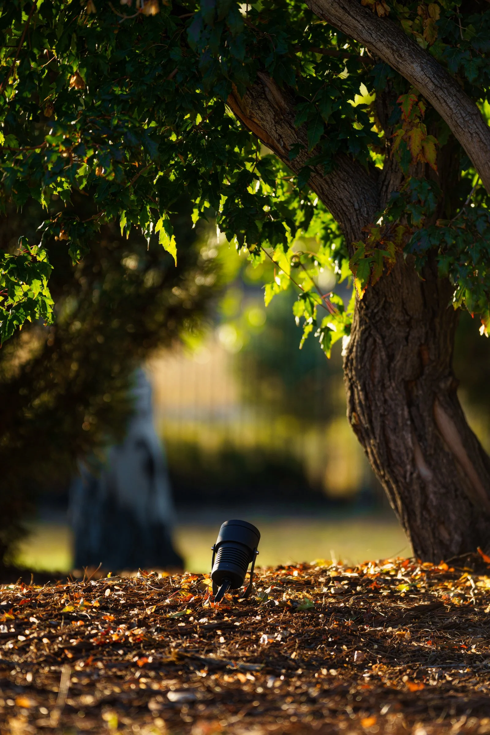 MBS - Adaptiv - Denver WEB-133.jpg