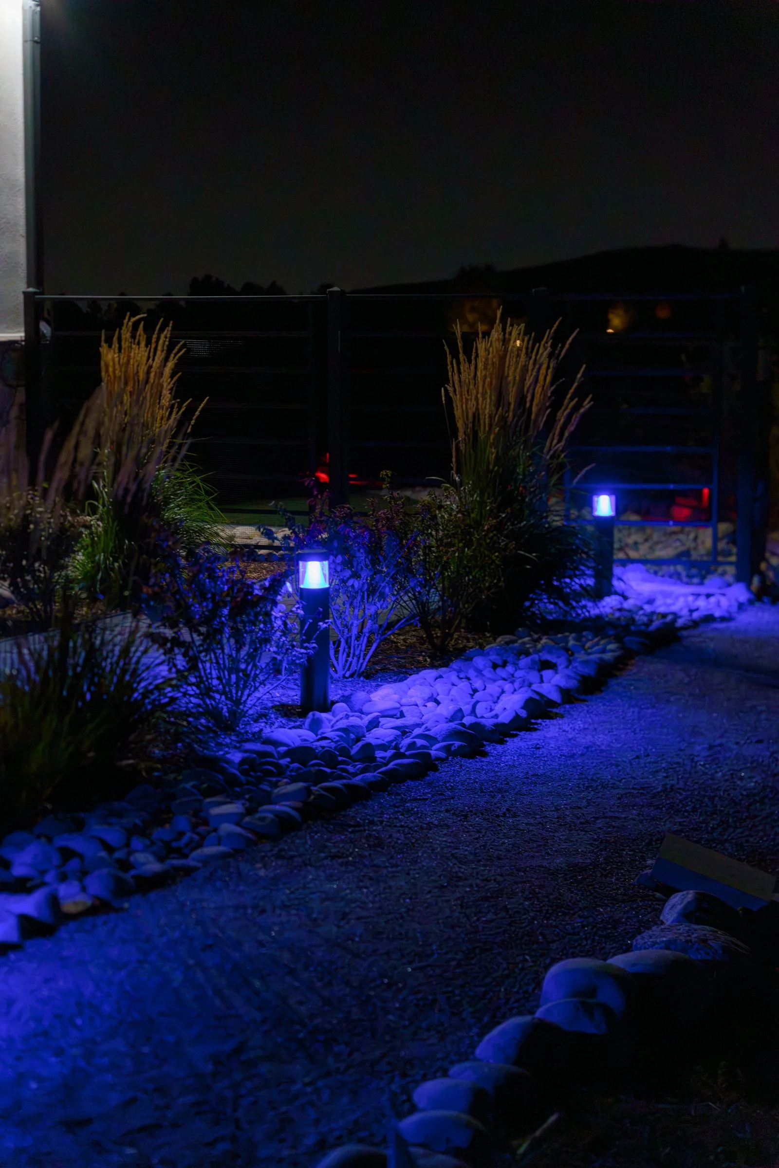 MBS - Adaptiv - Denver WEB-191.jpg